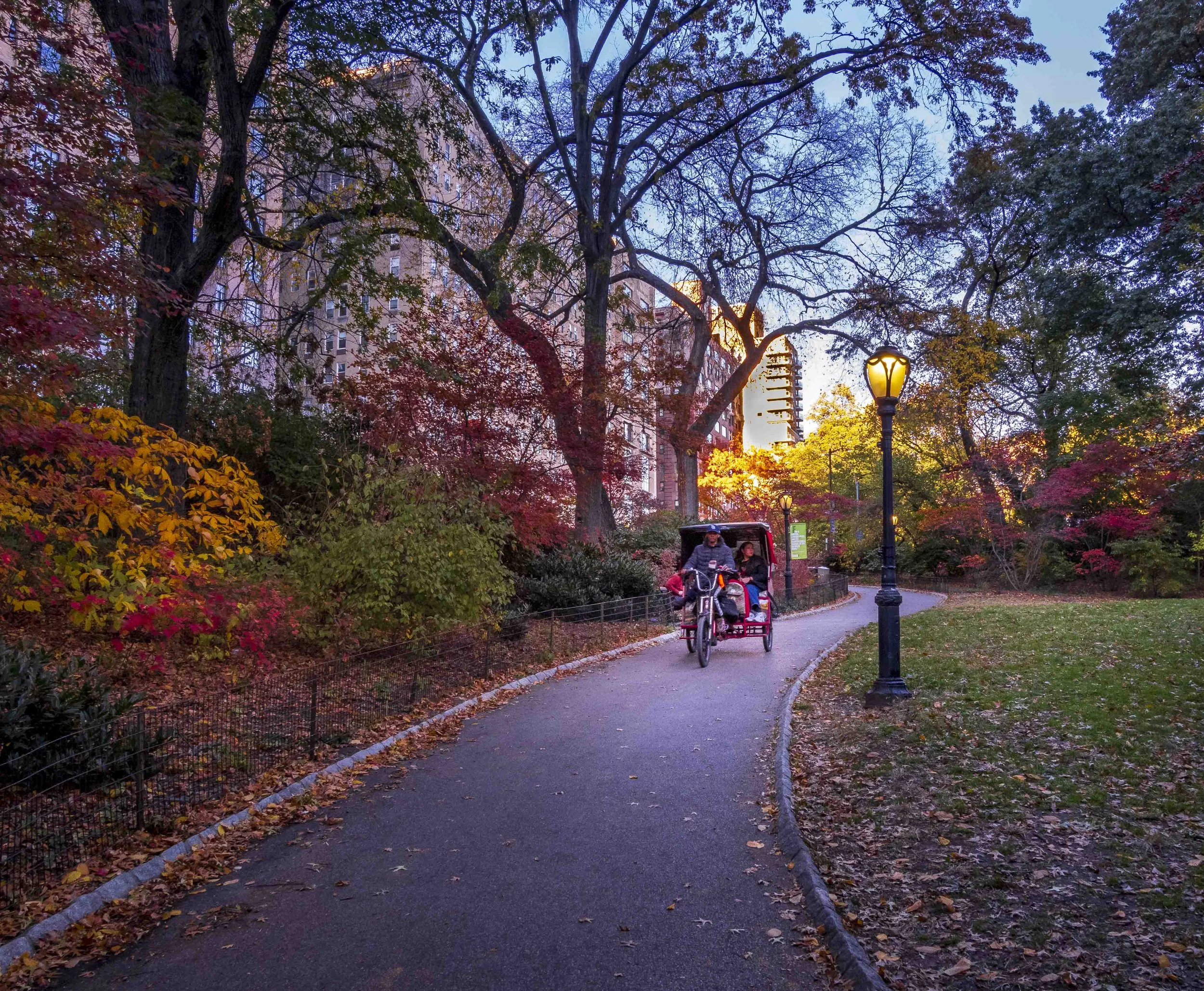 20251104-_B040461.jpg
