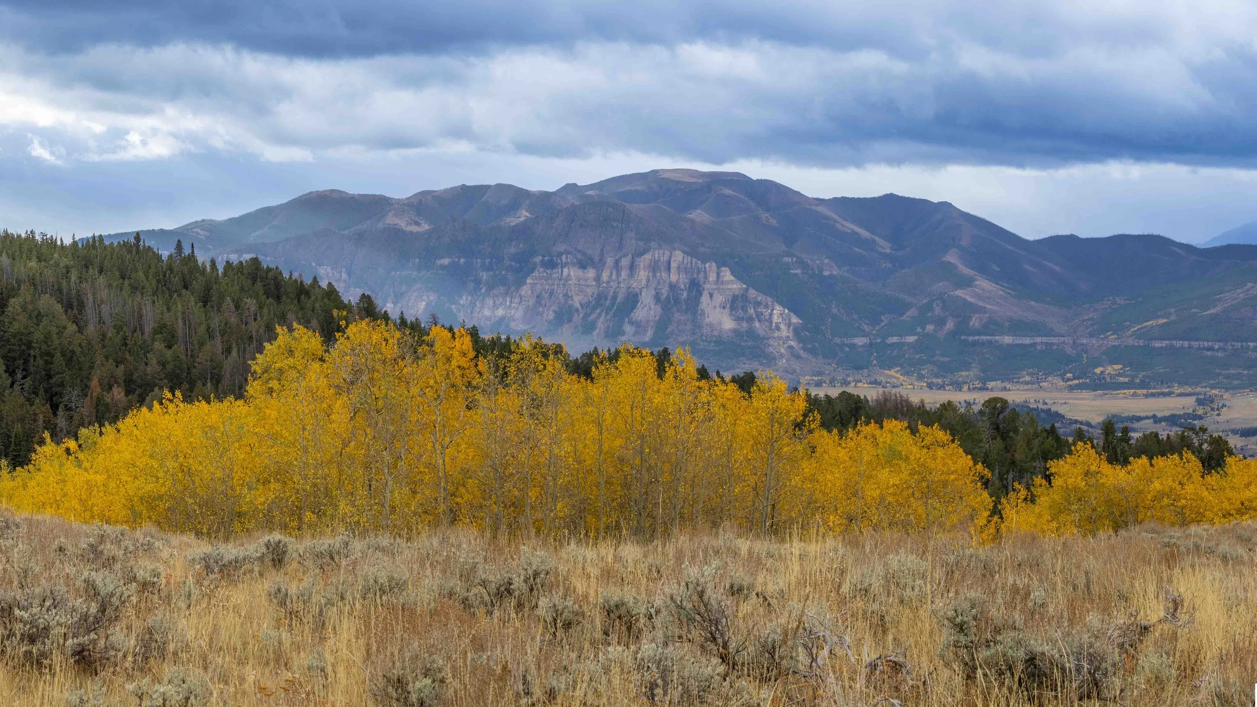 20251001-_A010419-Pano.jpg