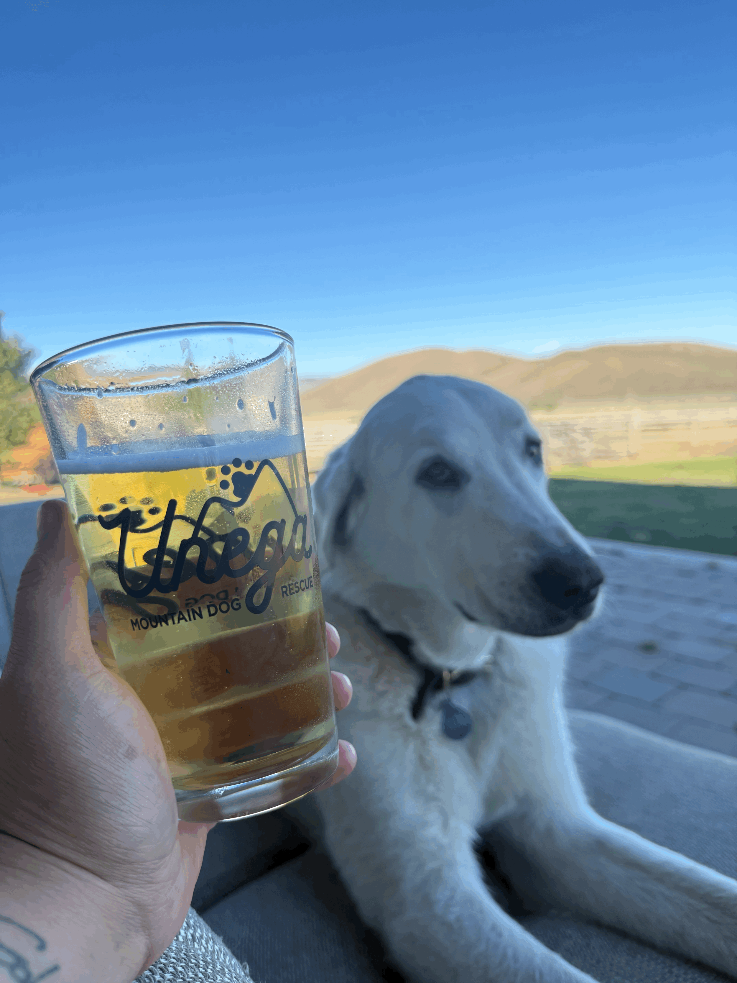 tempImageJ0q4eC.gif