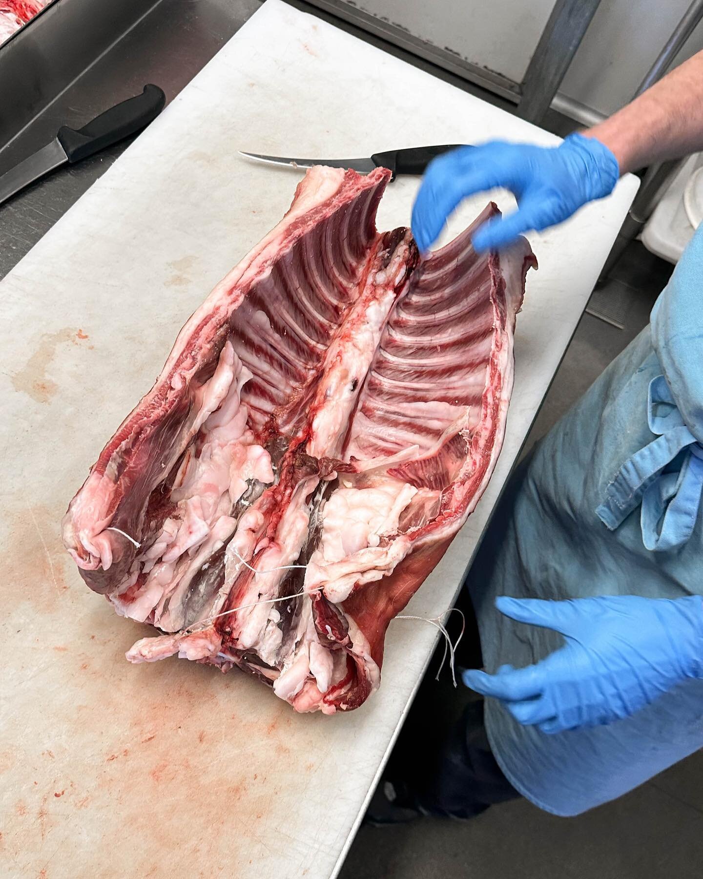 An impressive saddle (as always) from @thegourmetgoatlady. Ready and waiting to be cut down into chops and roasts for the weekend.