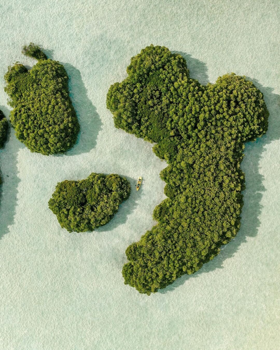 Mangroves of Maldives | by @seefromthesky⁠
&ndash; #staffpick #droneheroes