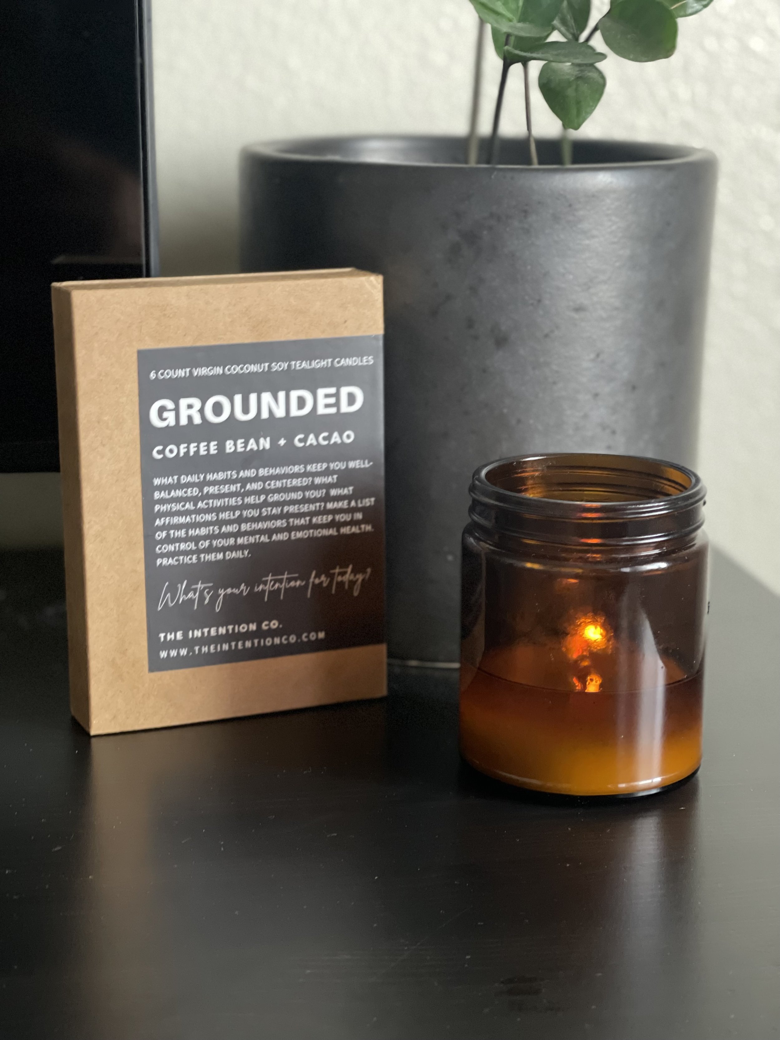 Grounded.jpeg