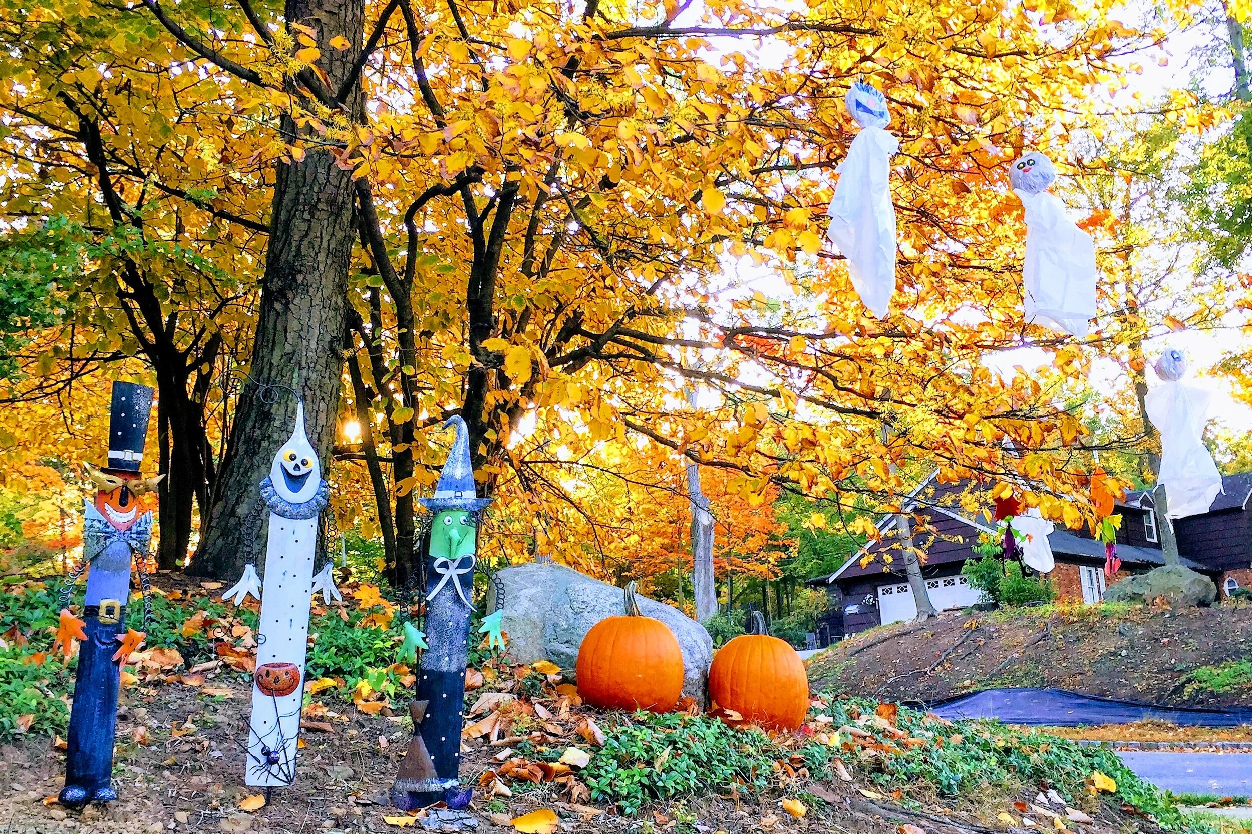 HALLOWEEN DECOR (FROM AUNT DONA)