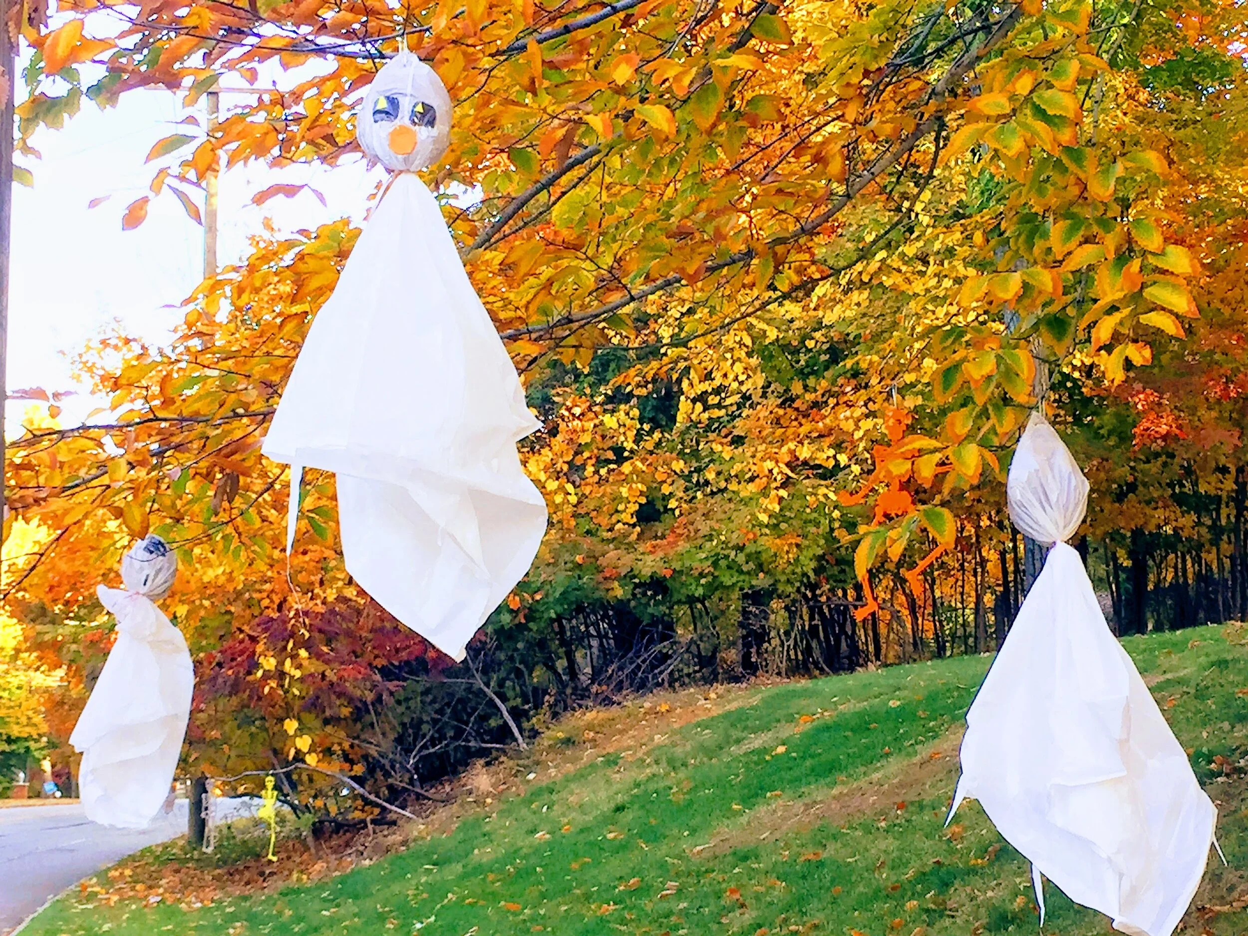 GHOSTS FLYING HIGH AT OUR HOUSE