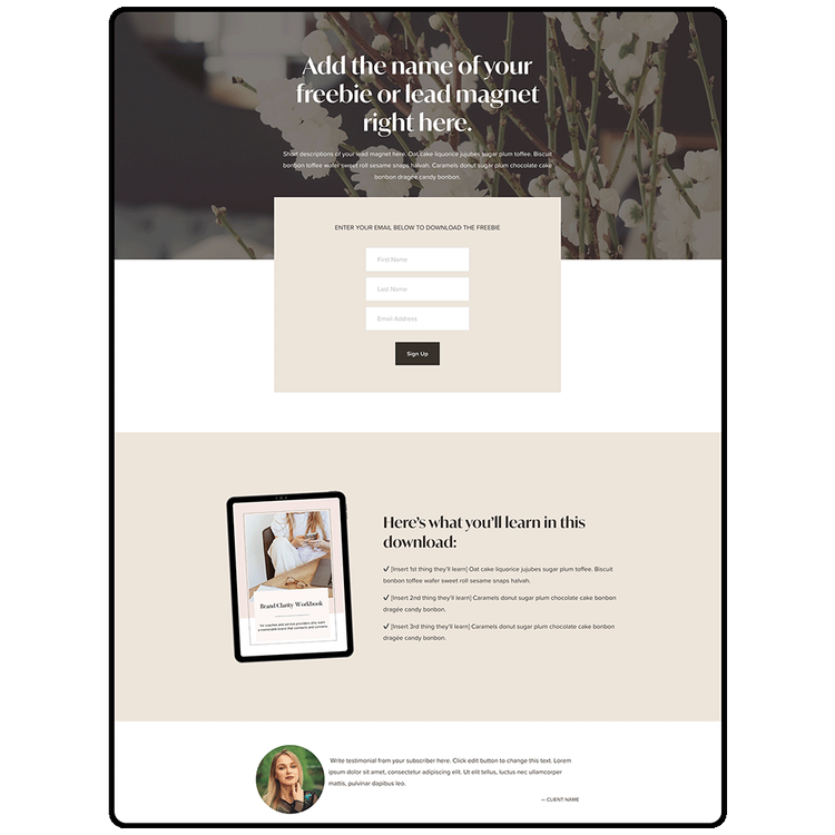 Squarespace templates and design kits