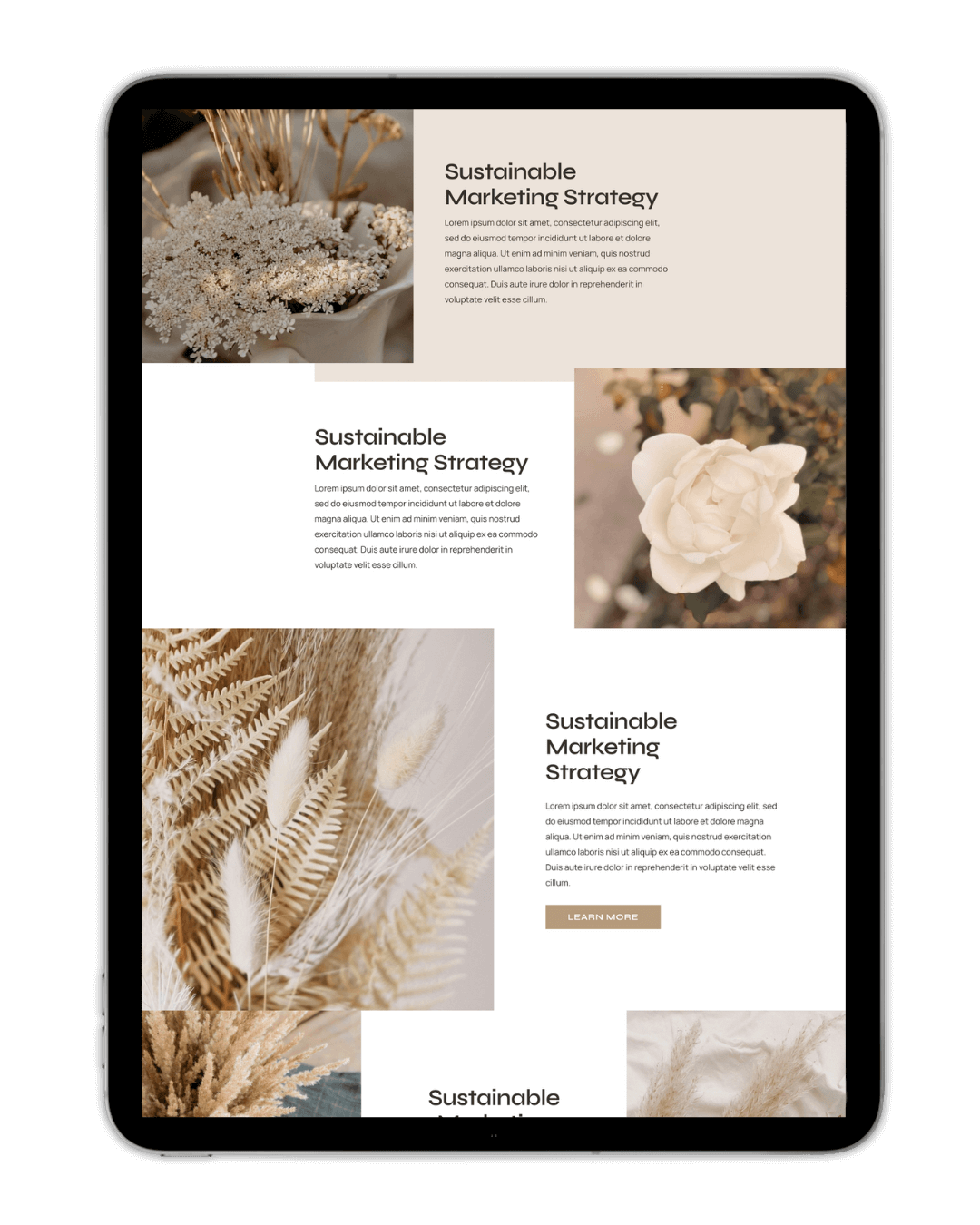 Tablet displaying a webpage with a minimal design featuring text about "Sustainable Marketing Strategy" and images of dried flowers and plants. The page includes placeholder text and a "Learn More" button.