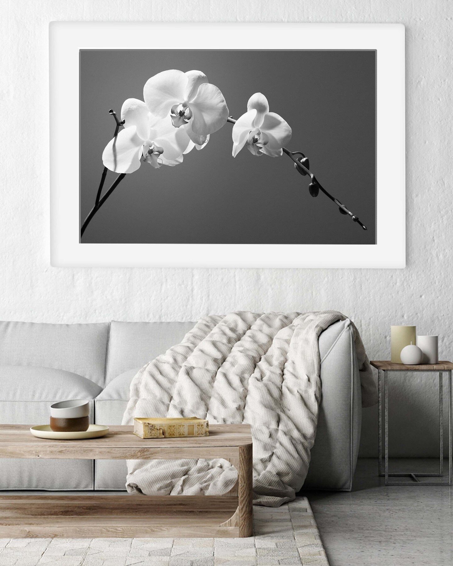 ORCHID - From the &ldquo;Floral&rdquo; collection.
Orchids are one of my favourite flowers...I&rsquo;m thinking of doing a new series just on Orchids - think colourful, vibrant, and detailed! 😍

*
*
*
#stilllifephotography #stilllife #floral #wallpr