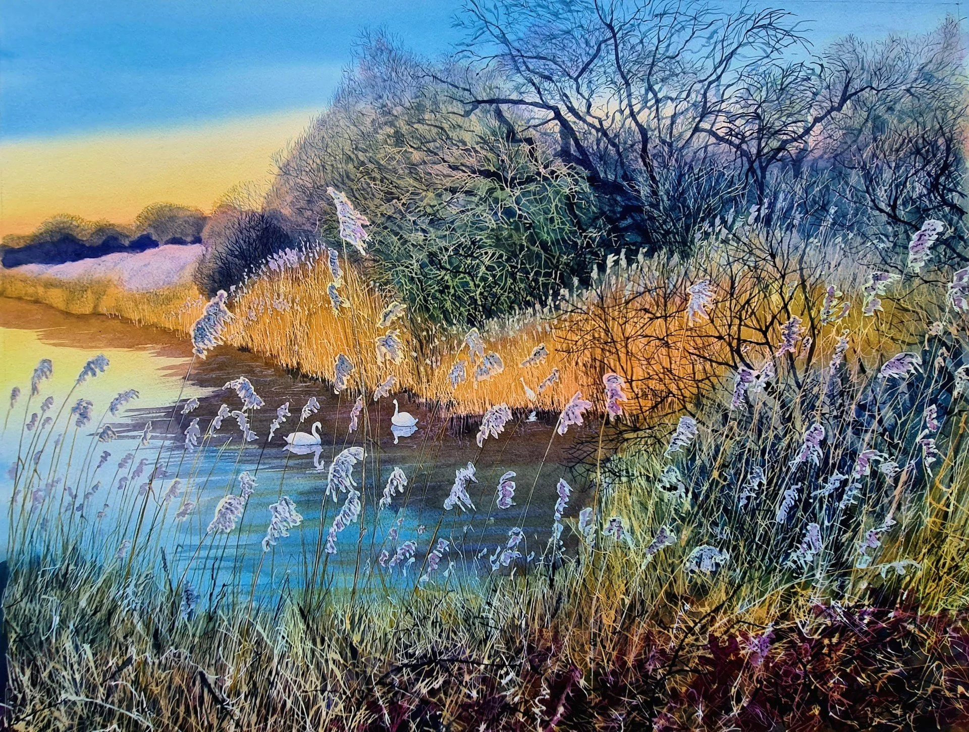 Reedbeds, Meare Heath watercolour 2026 53 x 71 cms SOLD