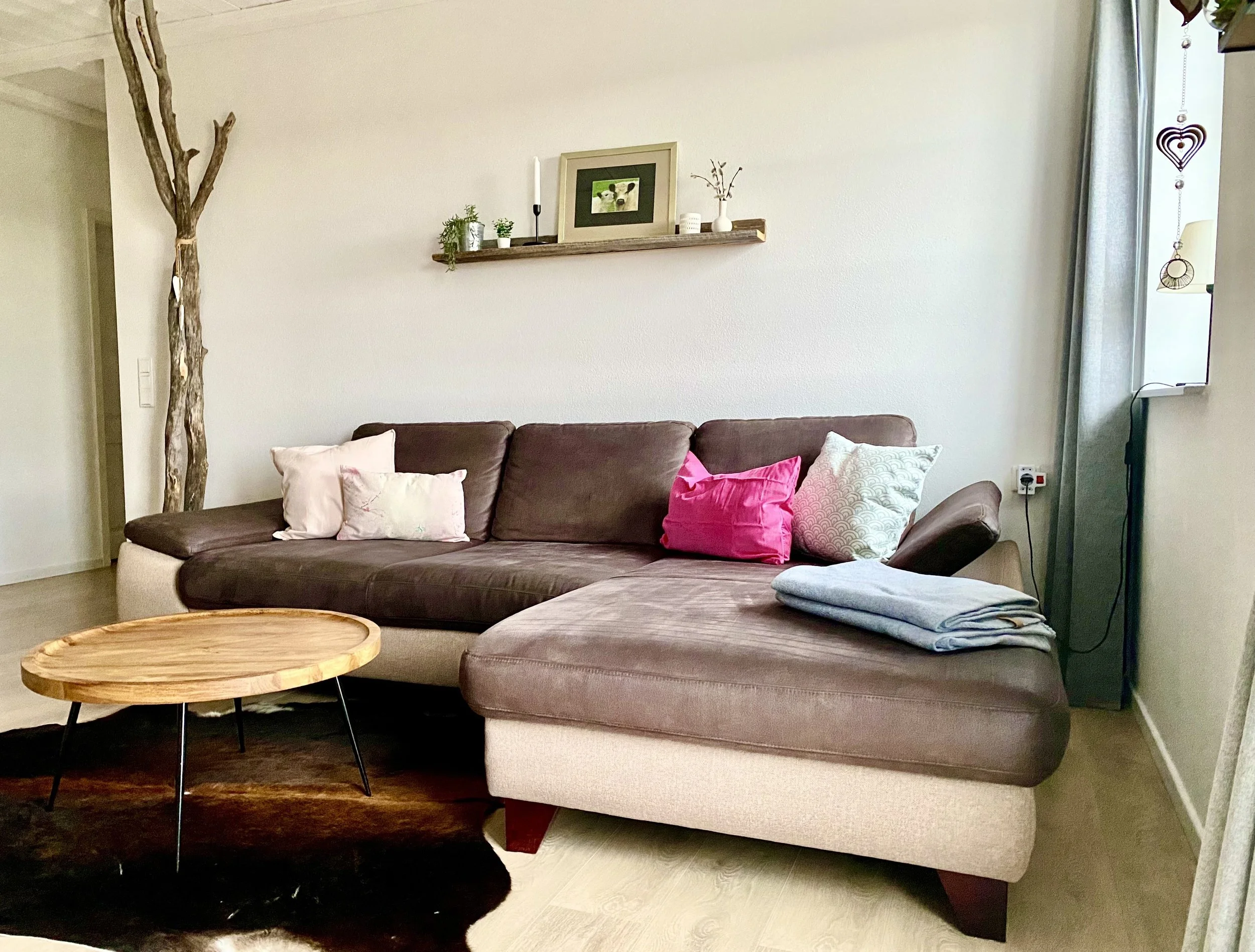 Couch Gänseblümchen