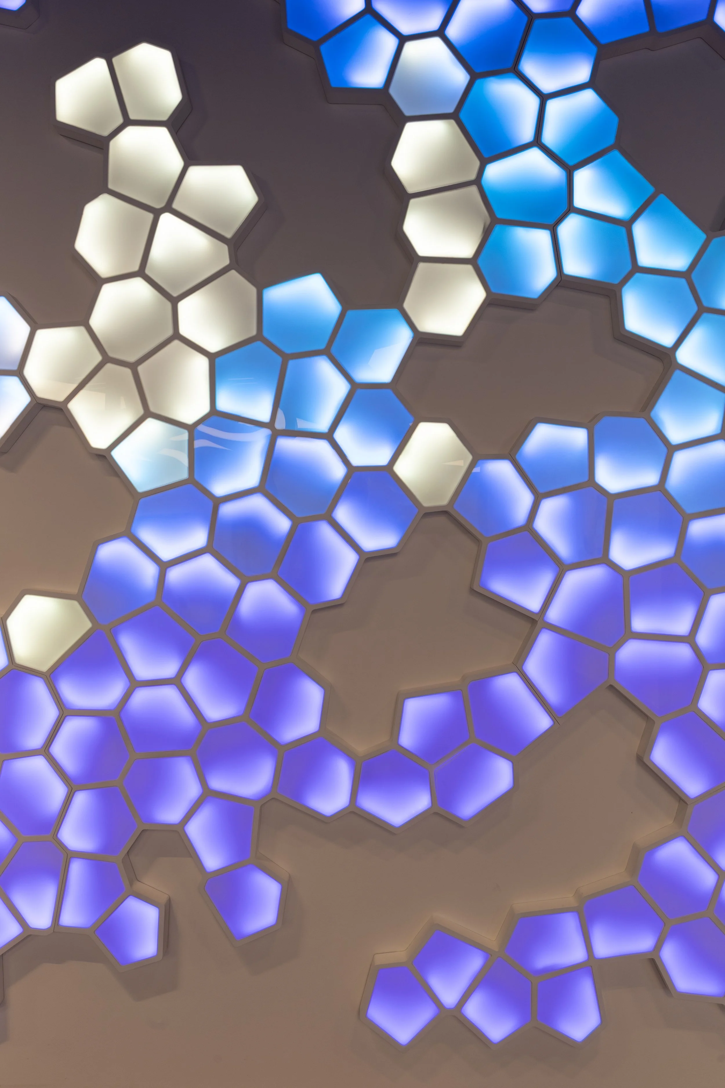 poru-projeto-tcs-pace-port_11.jpg