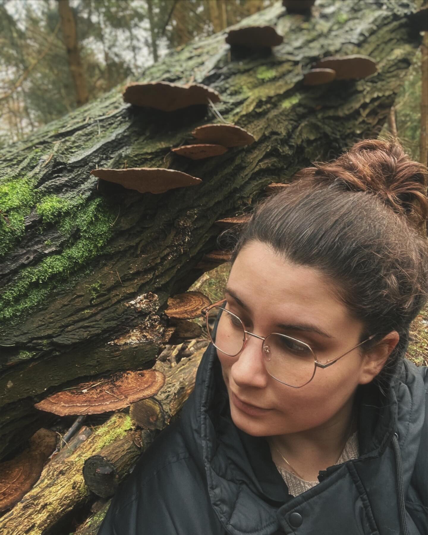 Ich bin jetzt in einen toten Baum verliebt.