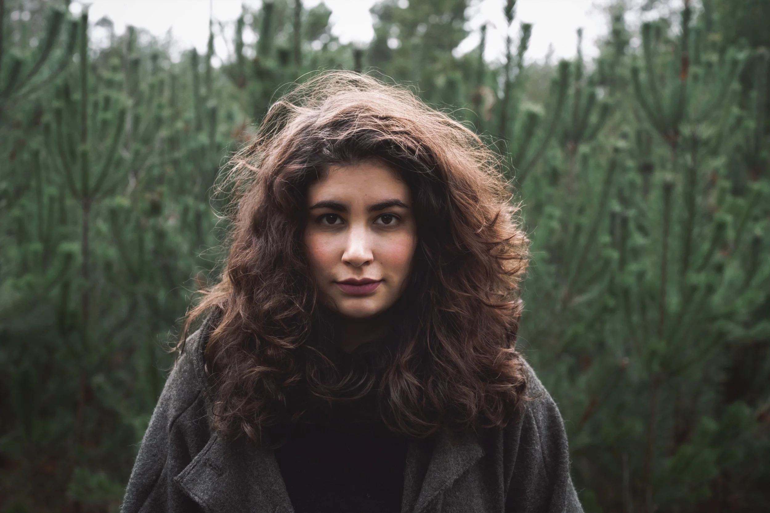 (c) Jasmin Schreiber 2023