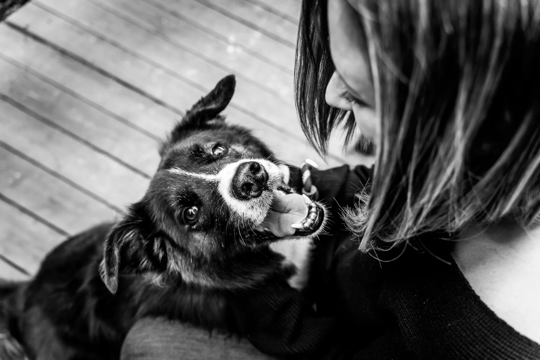 A person with long hair petting a happy dog with its mouth open, on a wooden deck.