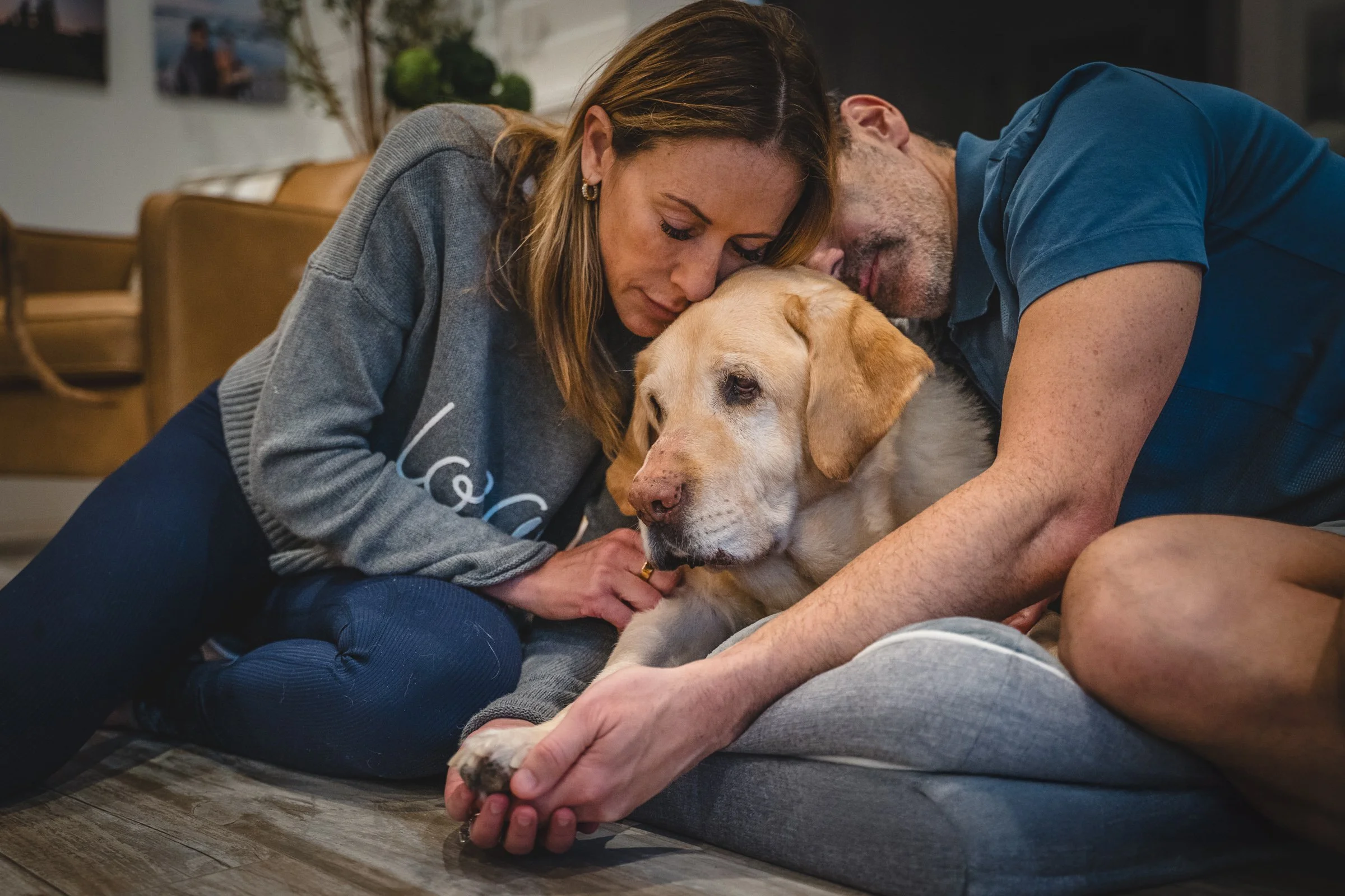 A woman and a man hug and cuddle a yellow Labrador retriever dog on a wooden floor in a cozy indoor setting.