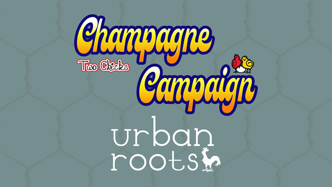 This month's Champagne Campaign Partner is Urban Roots! Fun Fact: Urban Roots was our very first partner back in 2021!​​​​​​​​​Visit our blog to learn more about Urban Roots and The Champagne Campaign