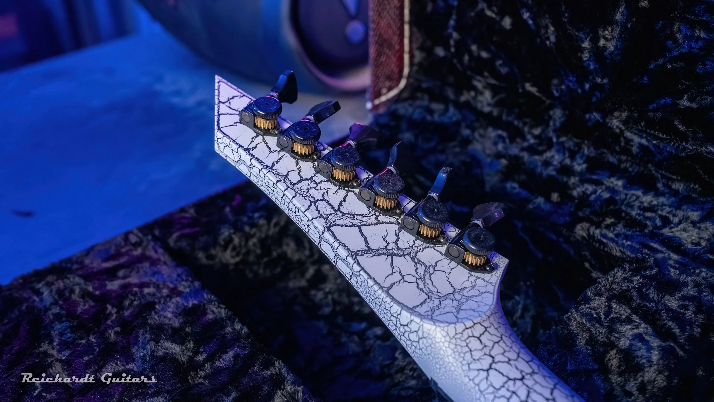 DSC00047 (2026-02-01T17_28_47.852).jpg