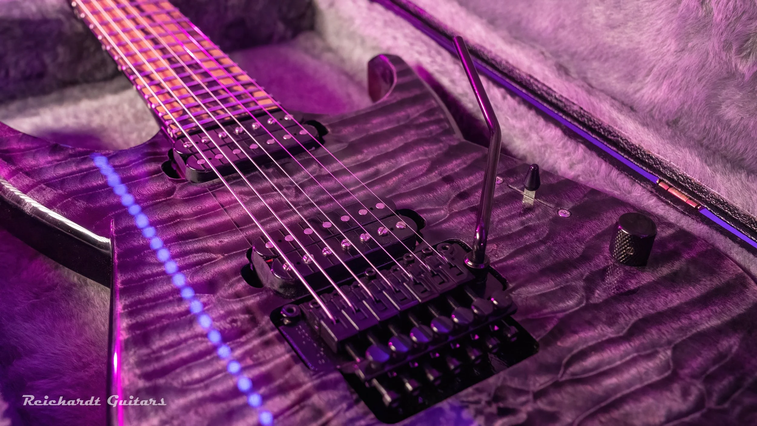 DSC00065 (2026-02-01T17_36_06.802).jpg