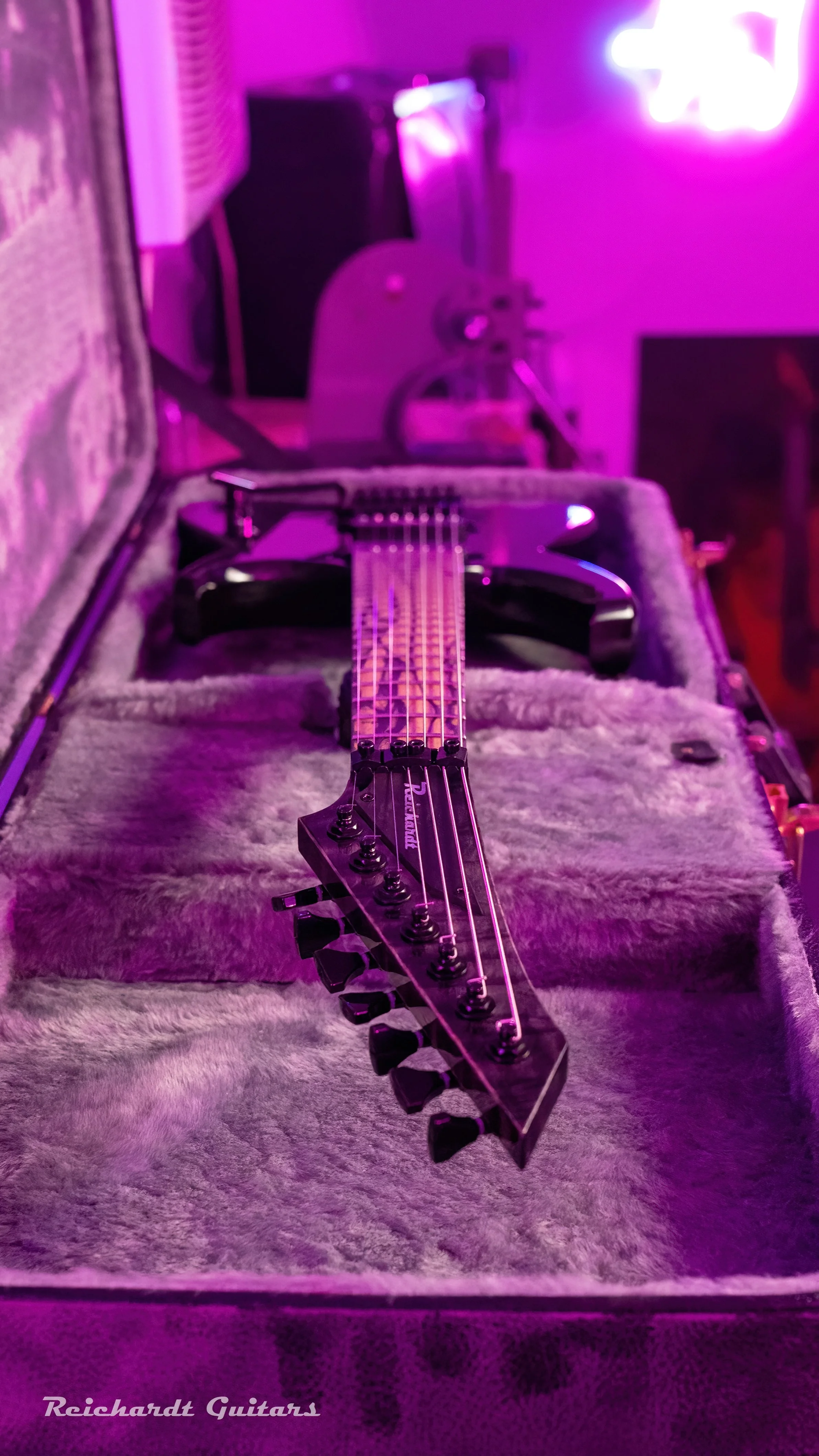 DSC00089 (2026-02-01T17_36_28.780).jpg