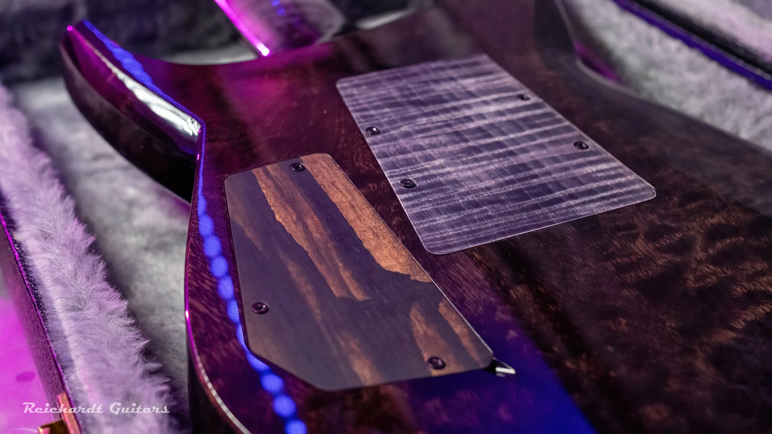 DSC00098 (2026-02-01T17_36_37.695).jpg