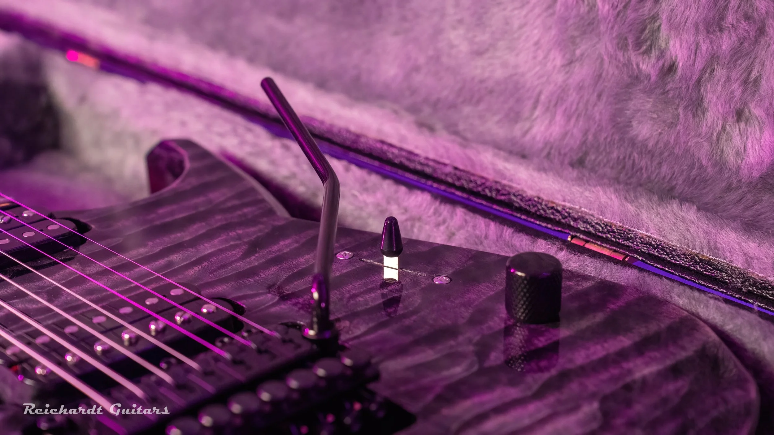 DSC00068 (2026-02-01T17_36_09.343).jpg