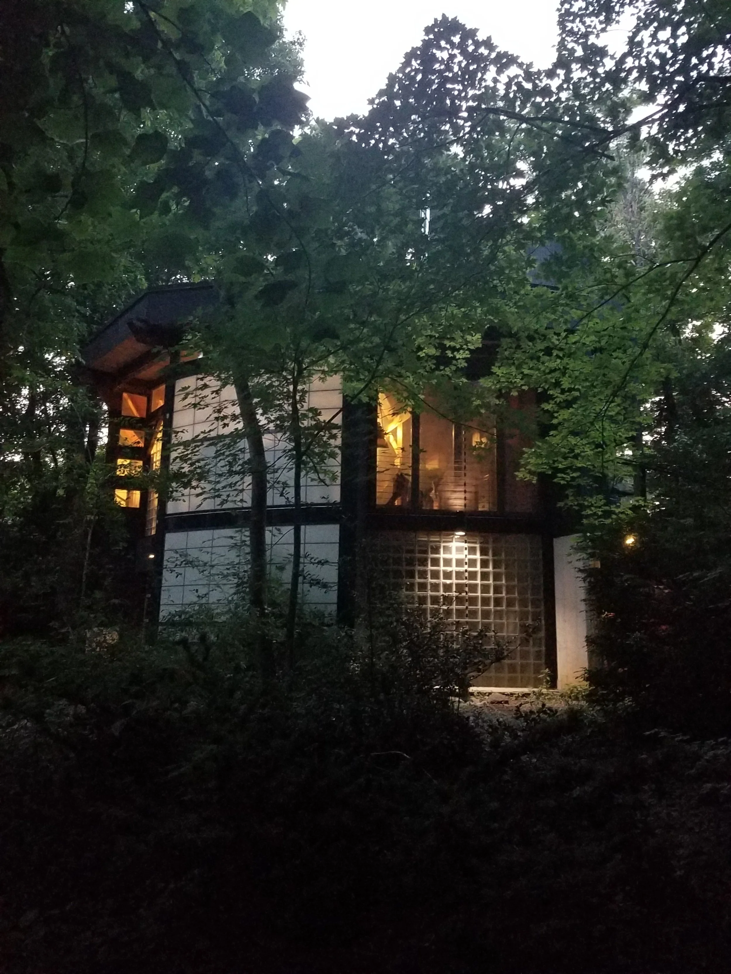 20230610_204624.jpg