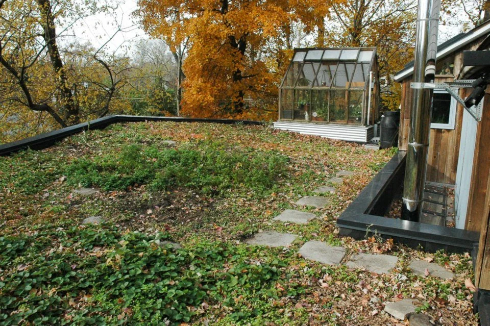 greenroof greenhouse.jpg