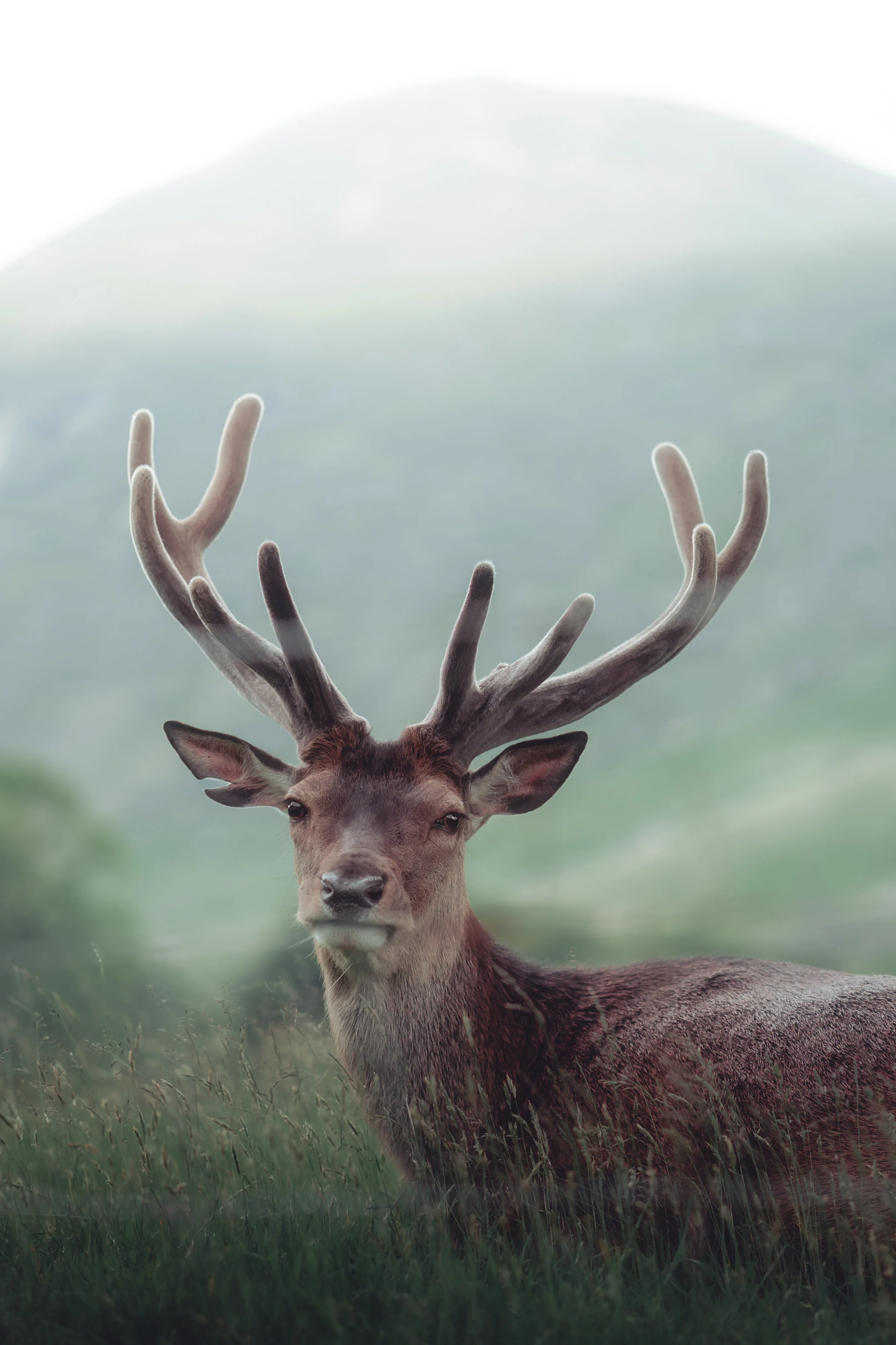 Arran-56.jpg