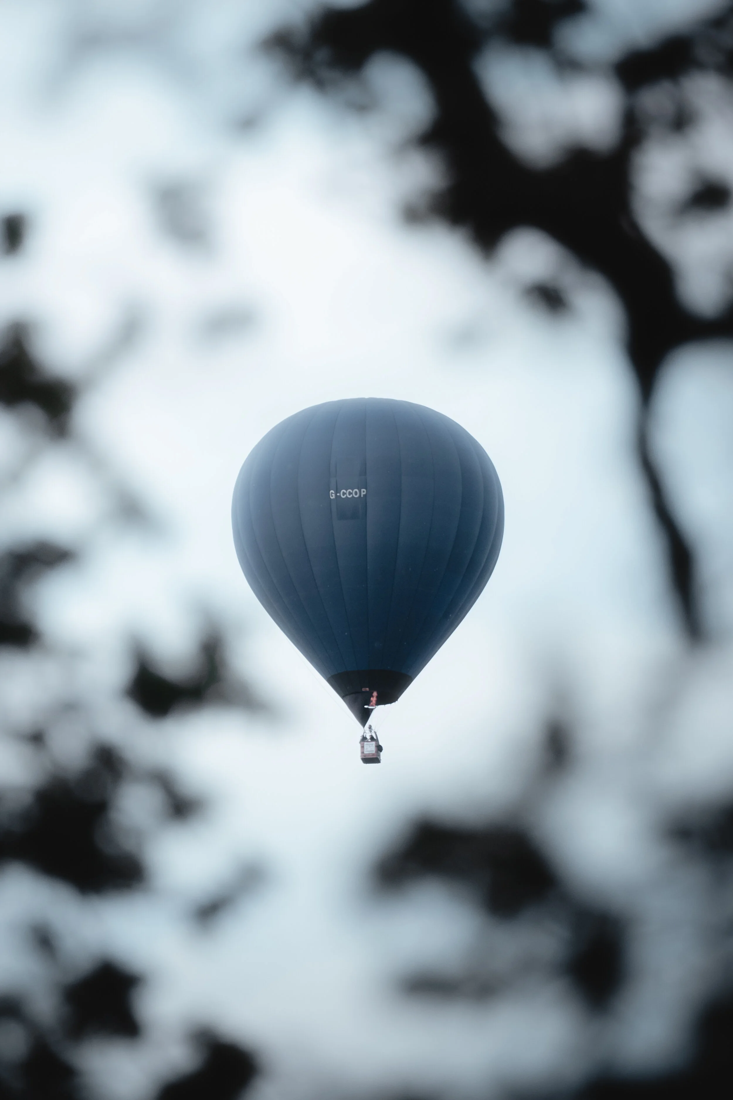 BlueBalloon-4.jpg