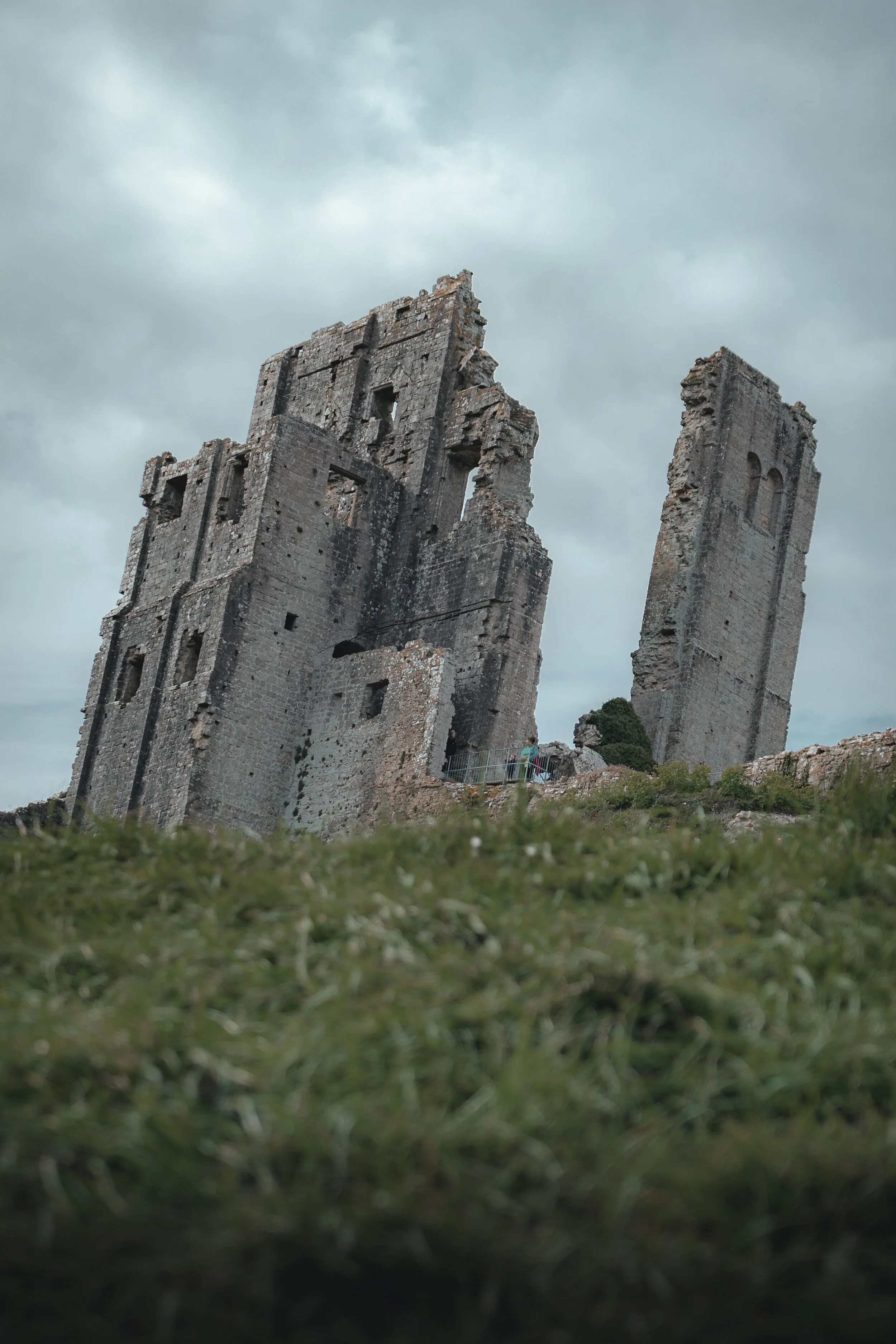 DorsetDay3-76.jpg