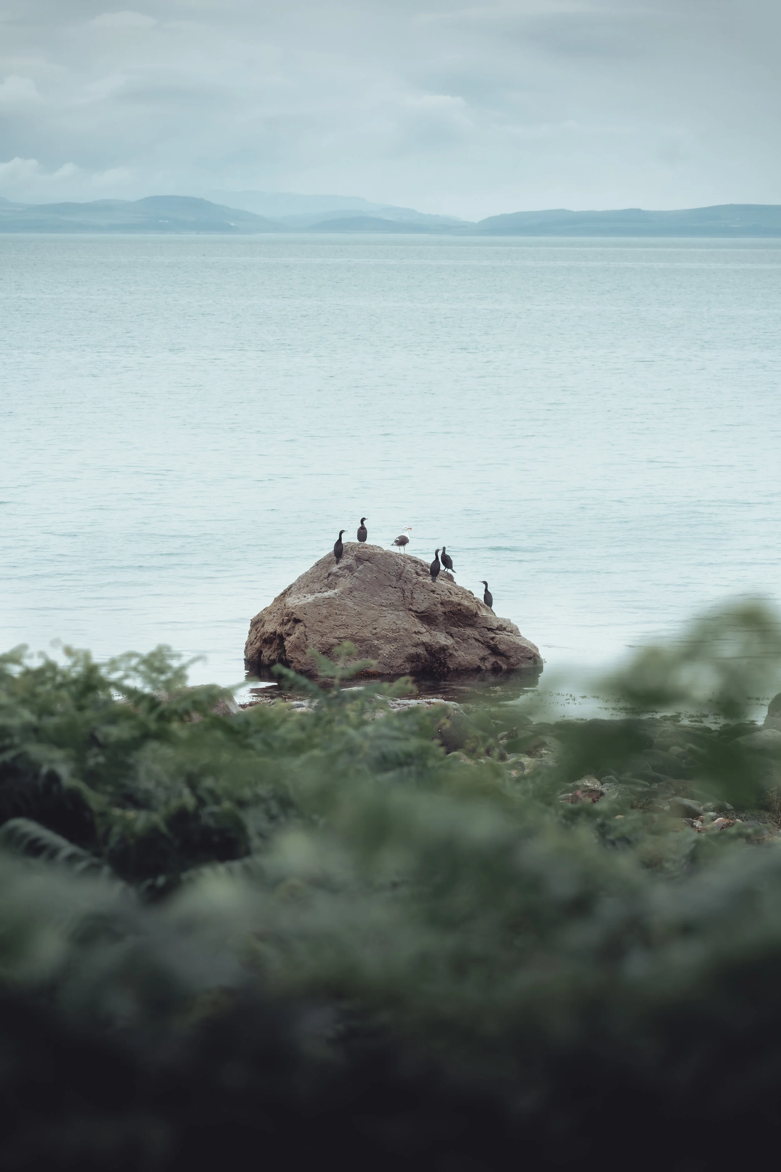 Arran-31.jpg
