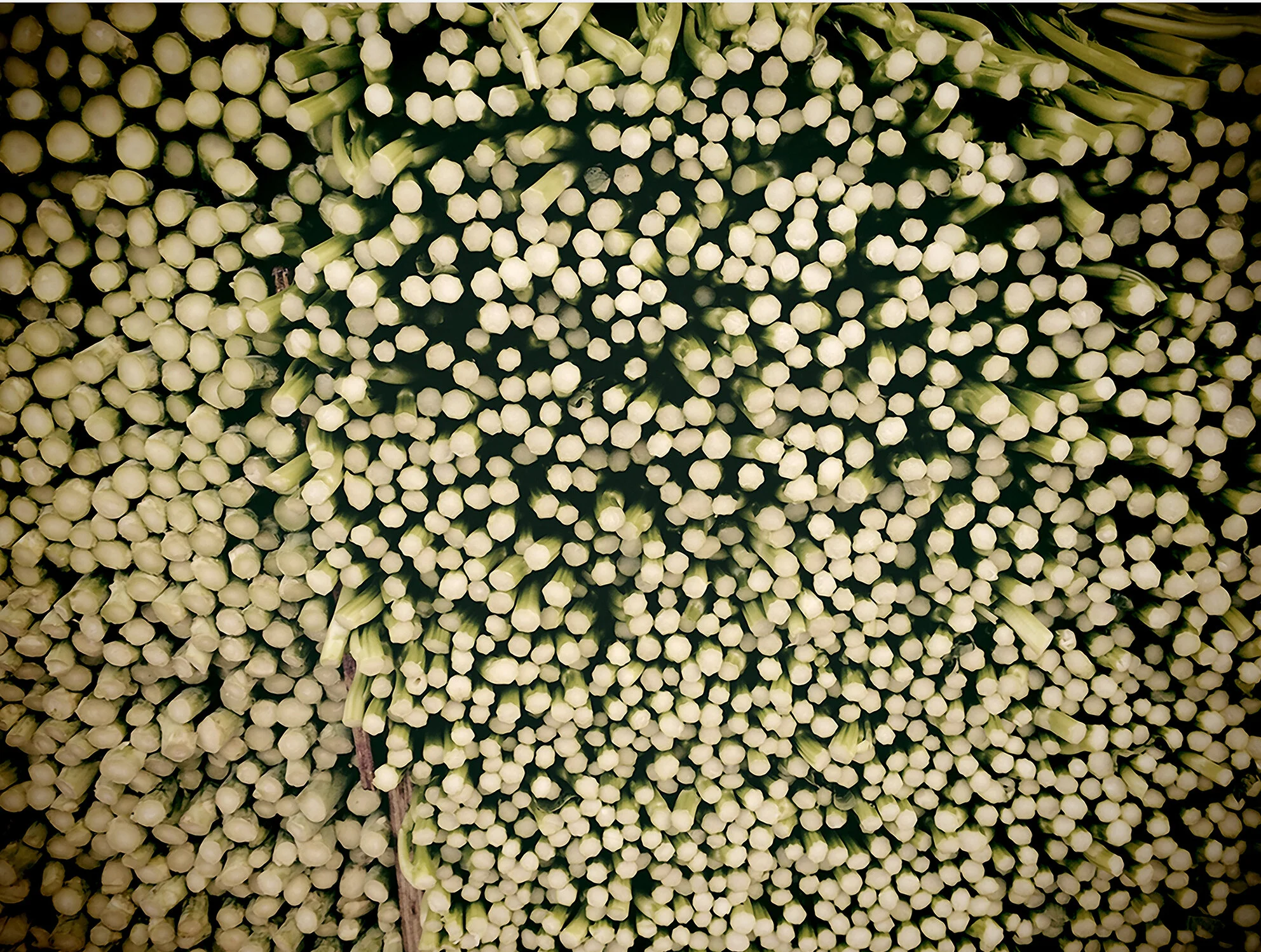 CHINATOWN GREENS TORONTO NATURAL MAT.jpg