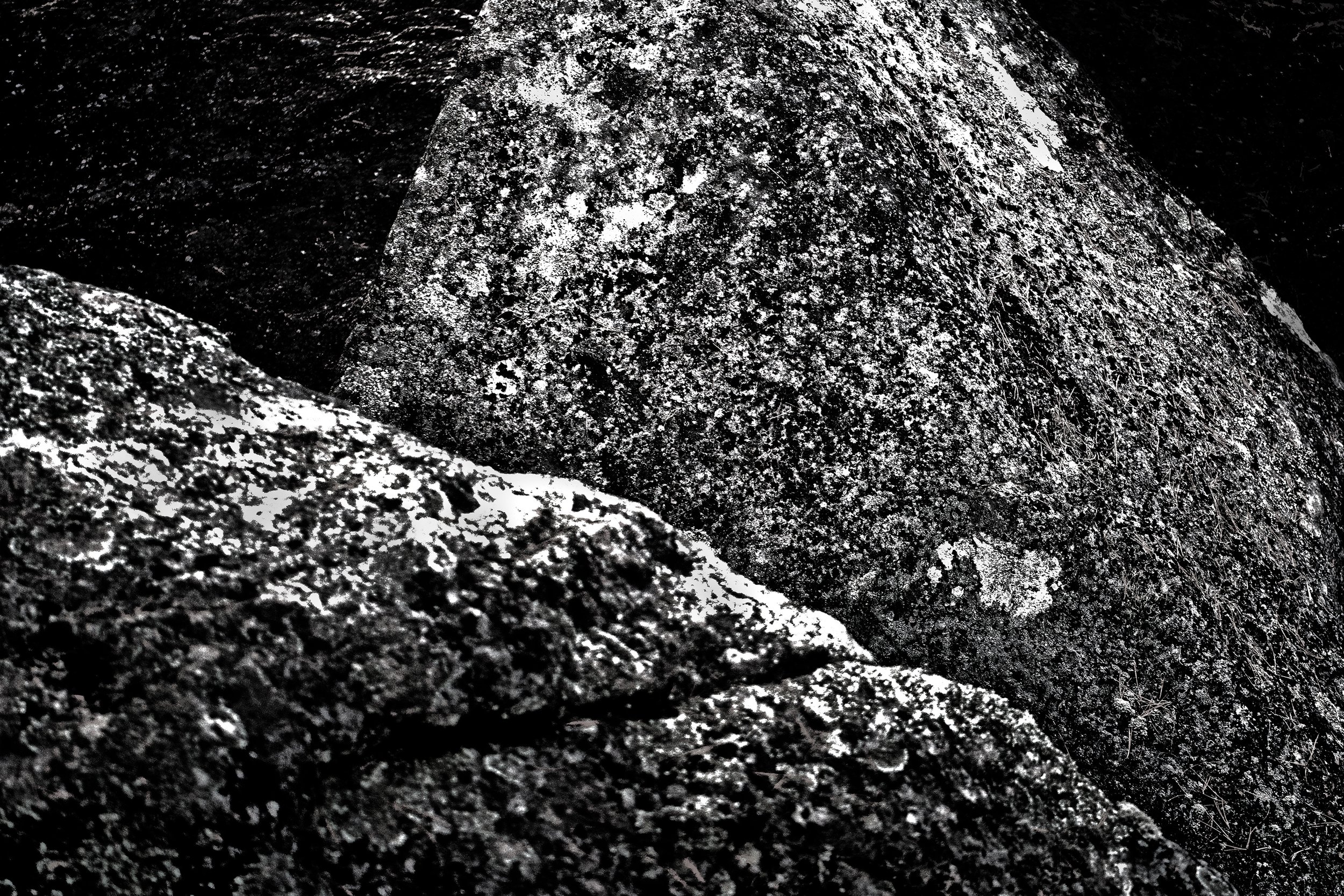 MUSKOKA OCT 20 FIP_0076 copy.jpg