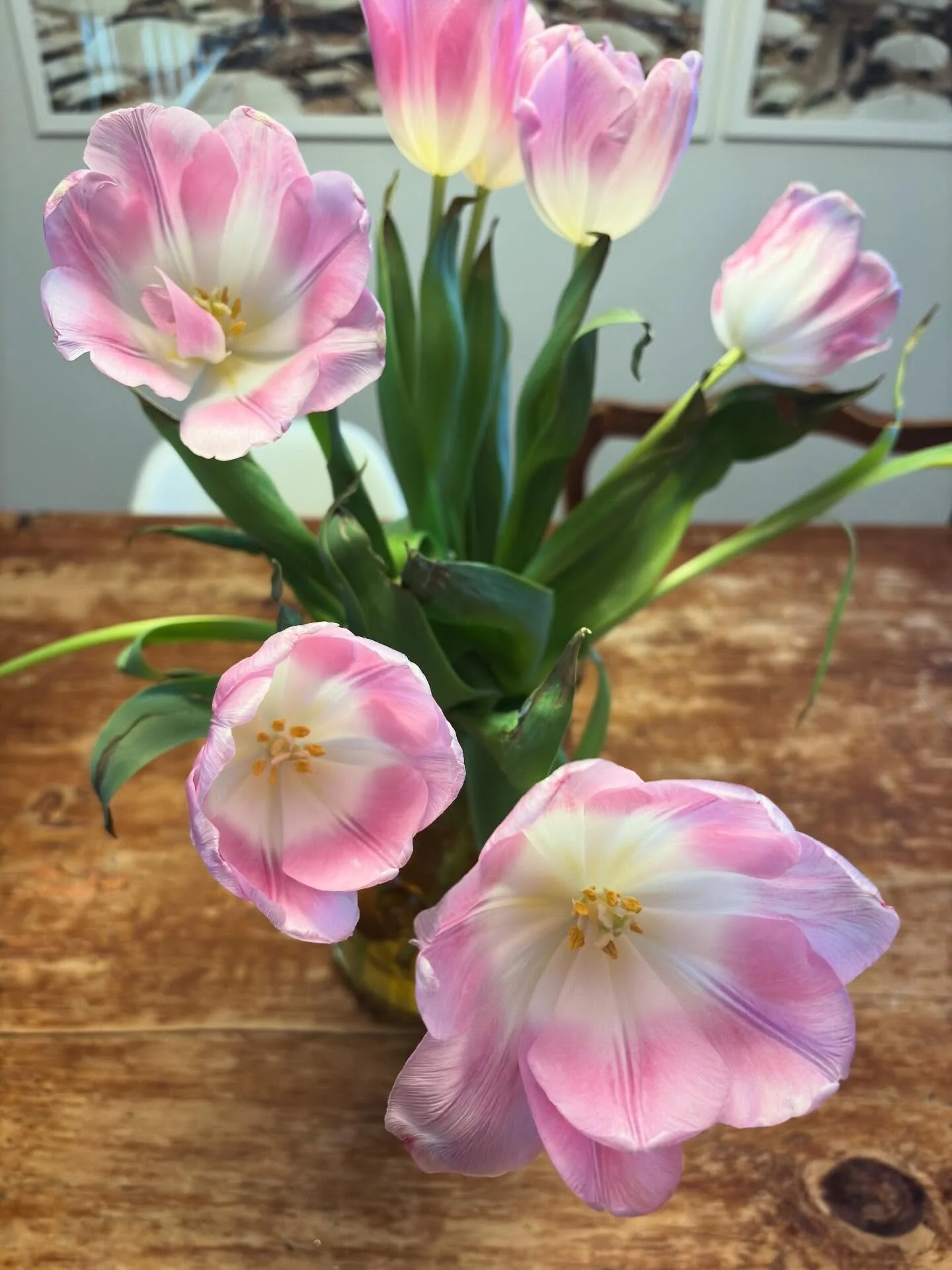 Spring &hellip; ing!