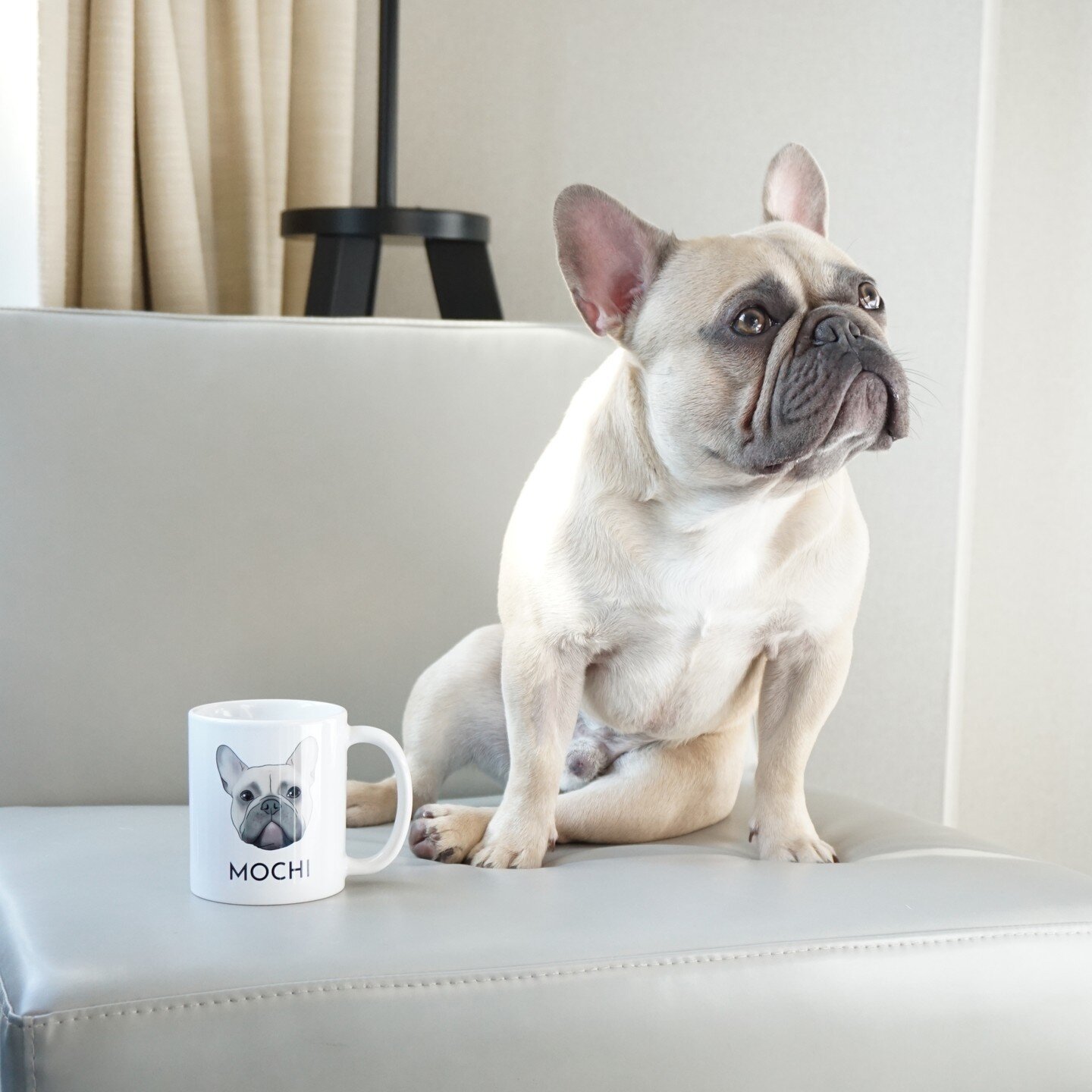 The most beautiful things in the world cannot be seen or touched... at least not by pups apparently😉🐕️⁠
⁠
Get the most beautiful mug around at the link in our bio (warning: its customizable option might just be TOO cute to handle)