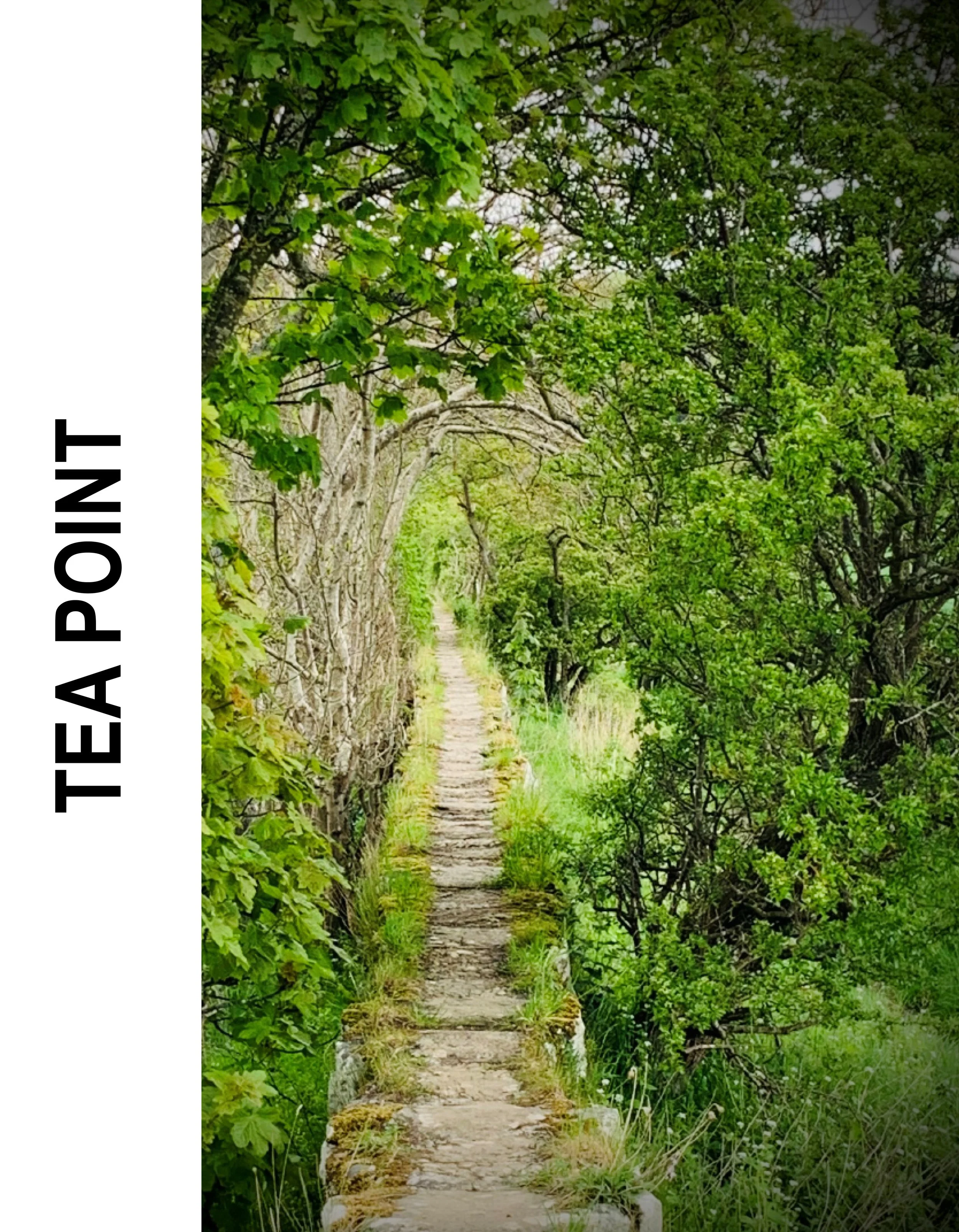 TeaPoint01.jpg