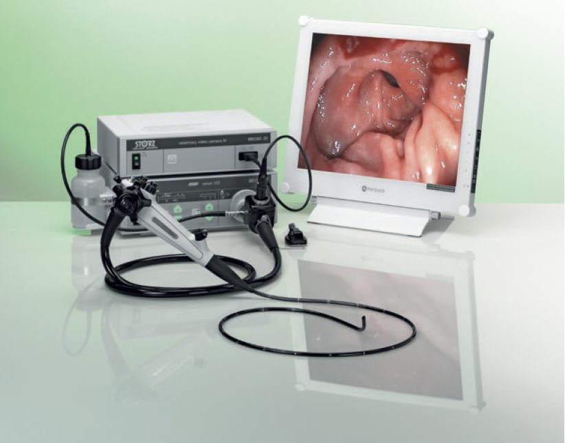 New Video Endoscopy Technology at Our Practice