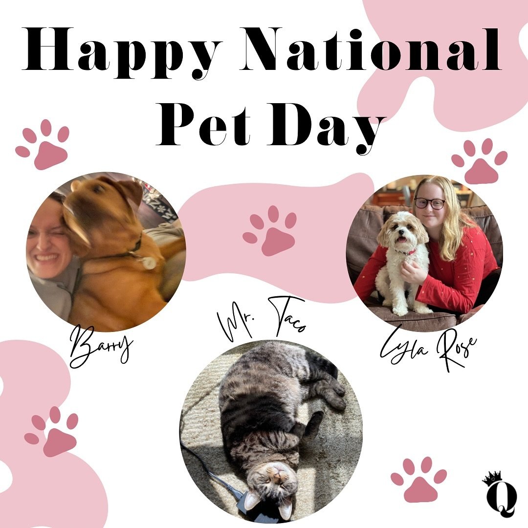 Paws-itively celebrating our furry friends on this Happy International Pet Day! How cute are these WAQ fam pets? 😍🐾 #InternationalPetDay