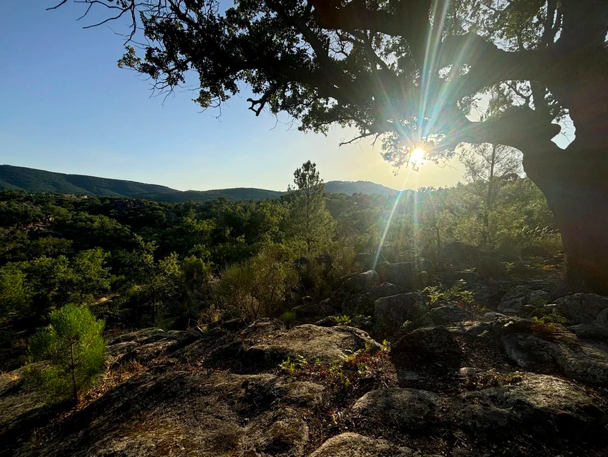 Screenshot 2025-12-04 at 22.28.07.png