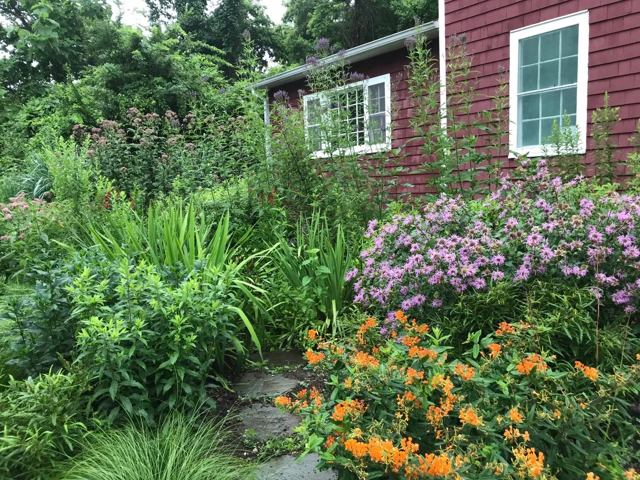 ReWild Long Island Presents: Create a Rain Garden in Your Yard, Webinar