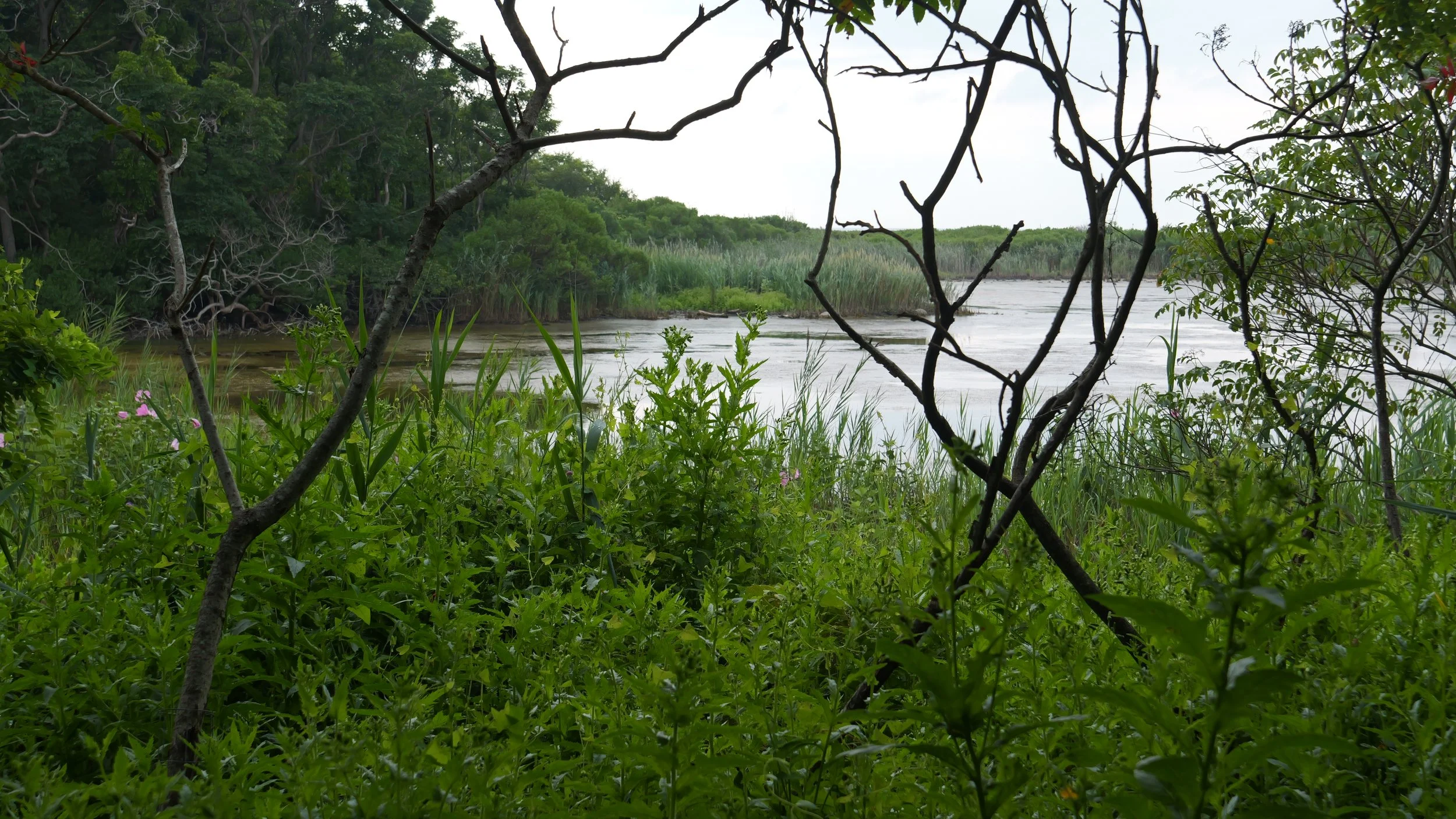 P1012911.JPG