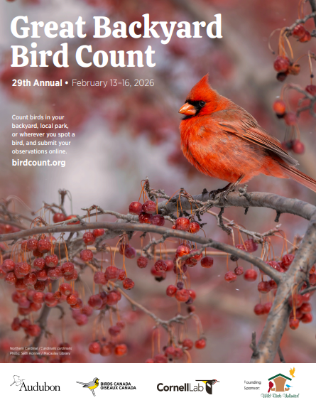 Great Backyard Bird Count with Turtleback Conservation Center