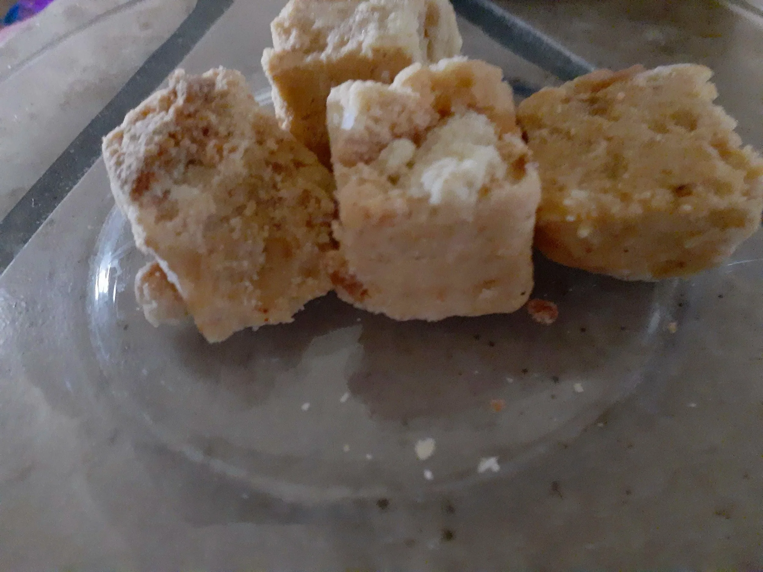 toasted coconut fudge