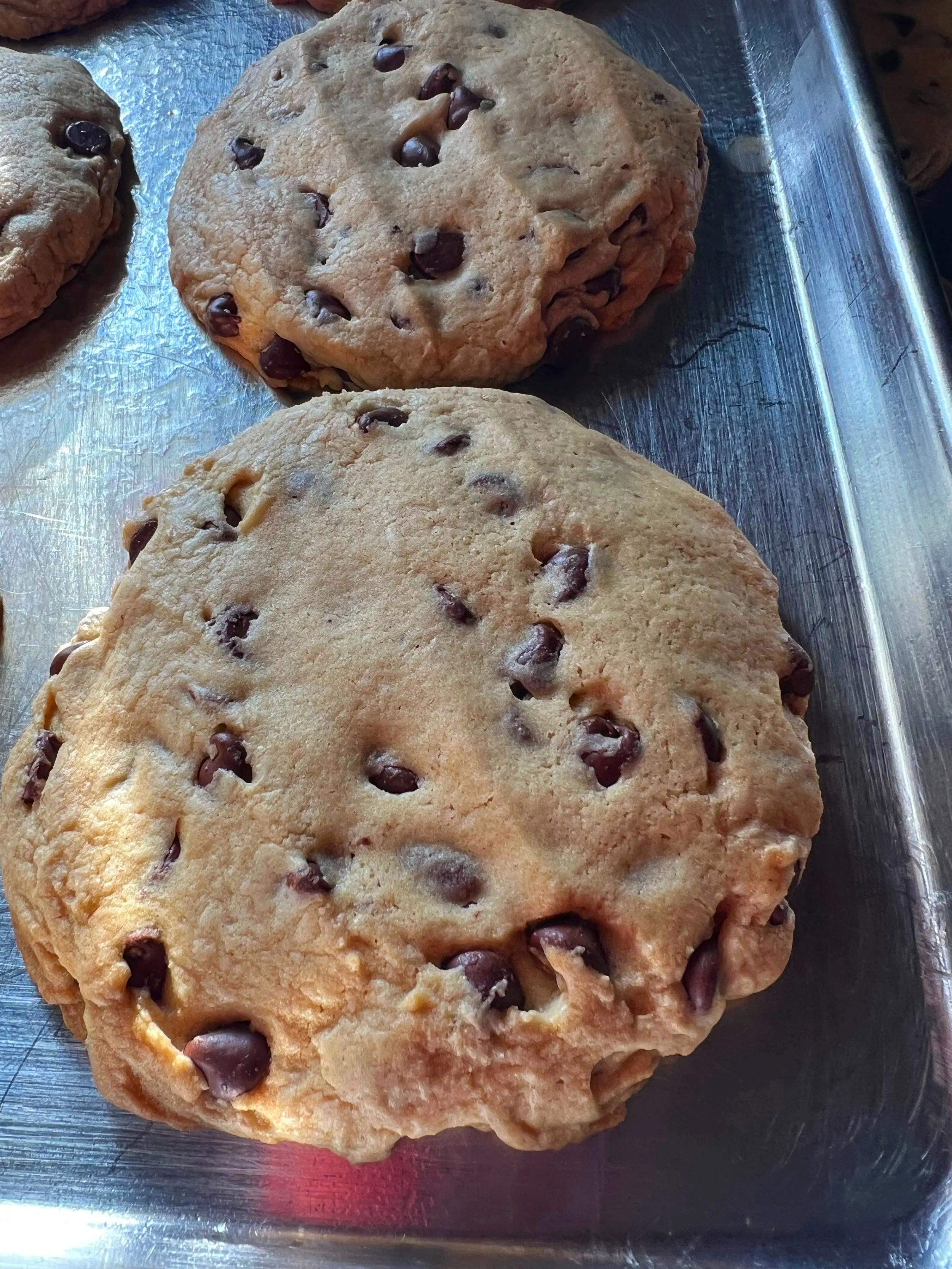 Chocolate chip cookies on cookie sheet just baked