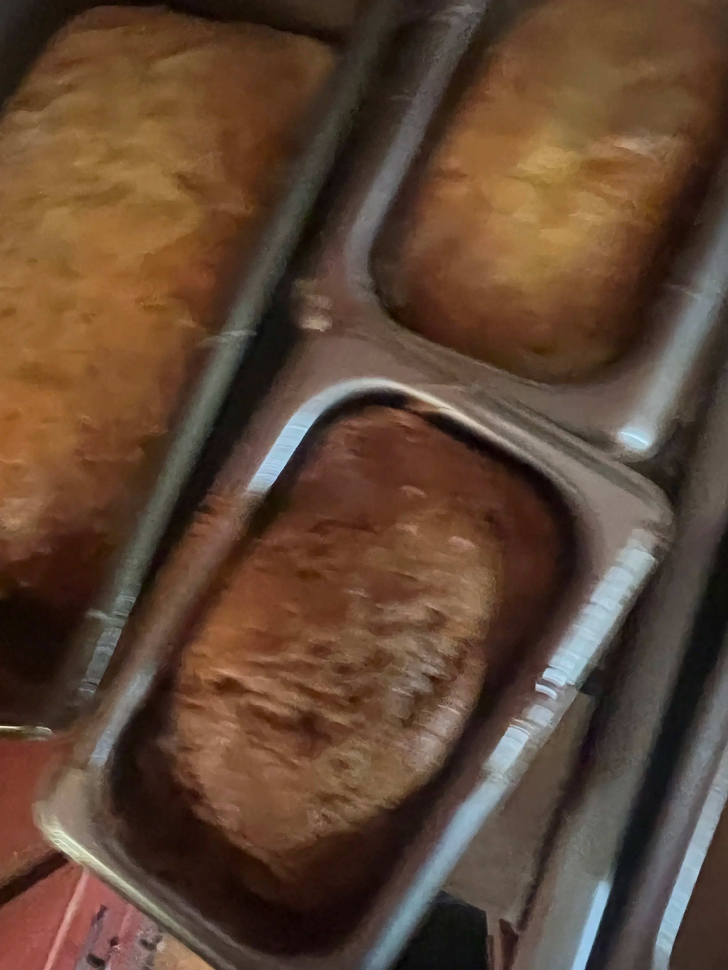 Sweet breads just out of oven still in pans