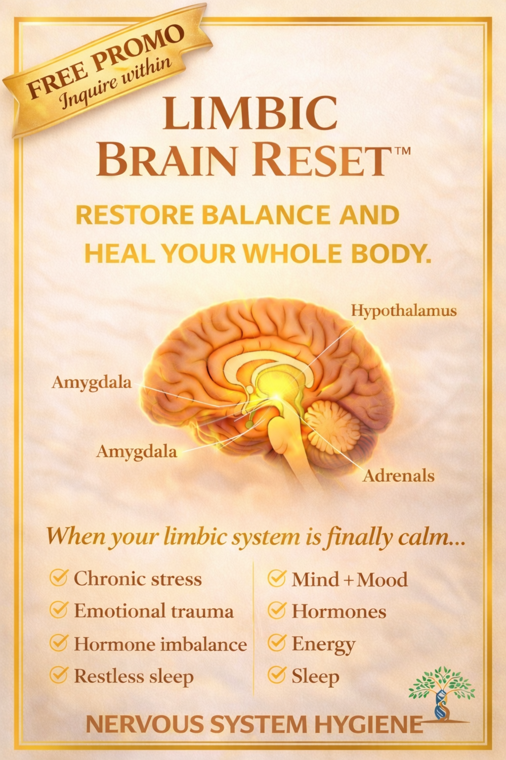 Limbic Brain Reset - Nervous system Hygiene with NIR Light Therapy