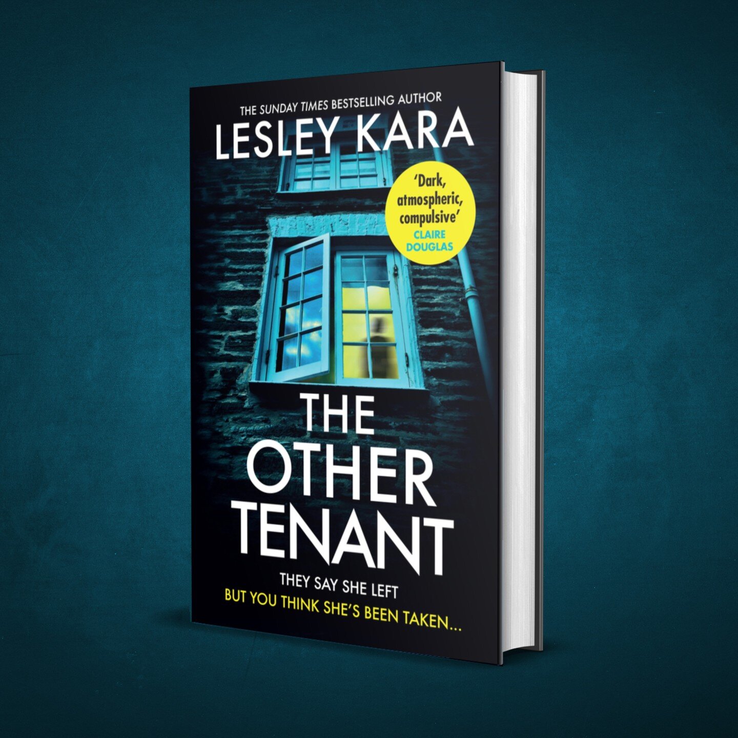 There are just three weeks to go before THE OTHER TENANT comes out in hardback! Thank you to all the people who have read an early copy and said nice things about it. Bringing a new book into the world is always a little scary, even when it's your fi