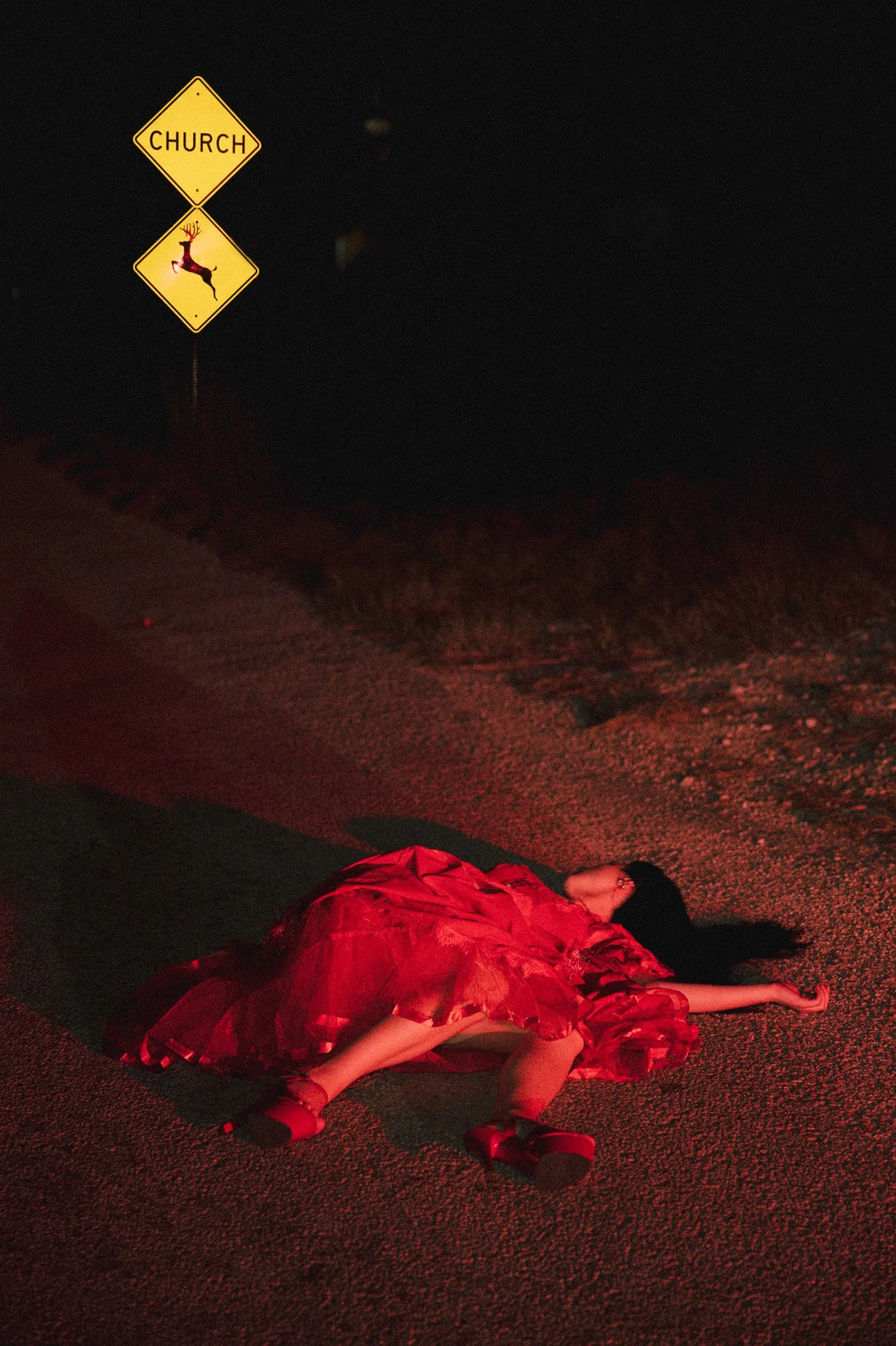 Road Kill.jpg