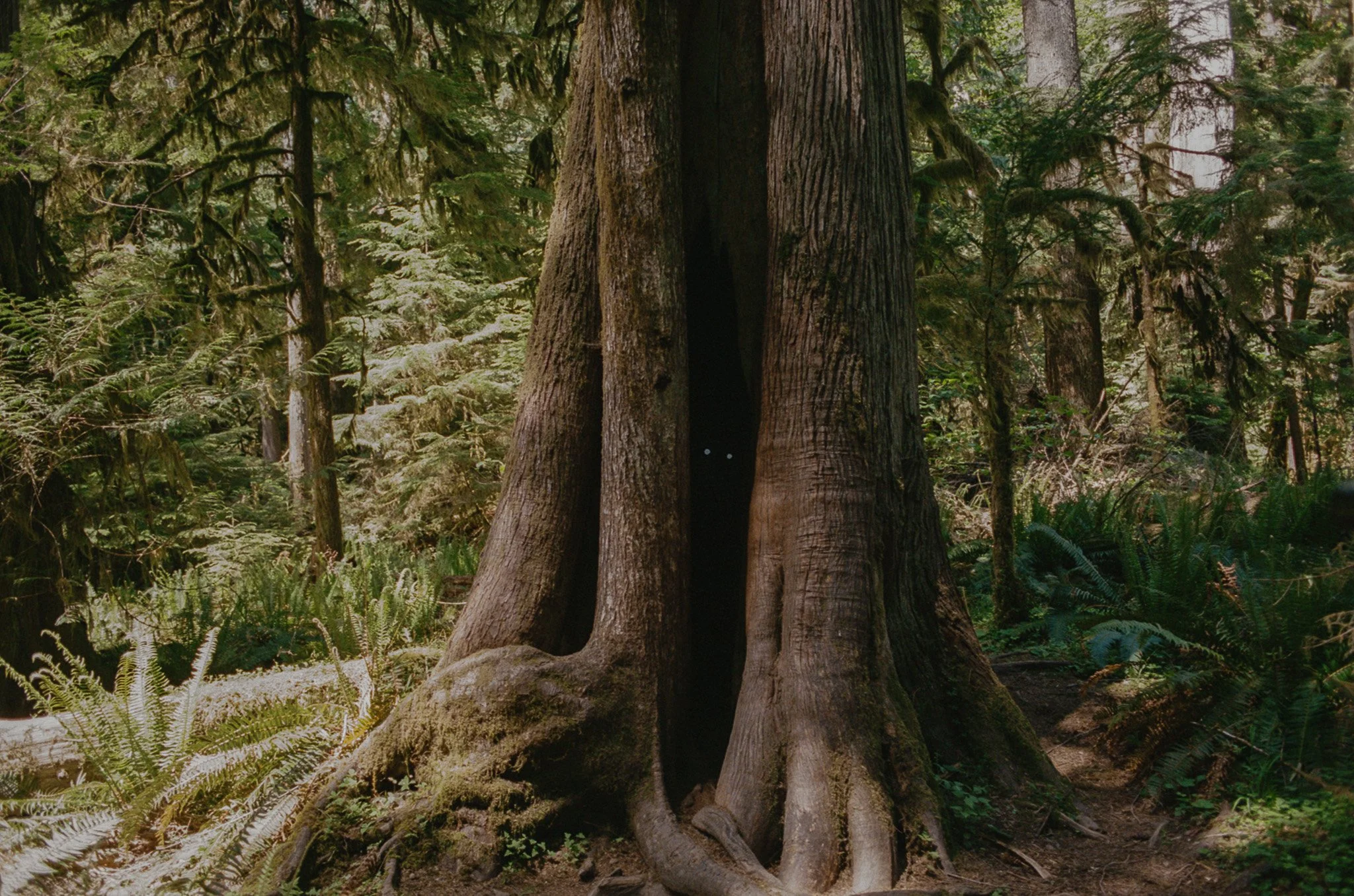 448468_2092_09_7A.jpg