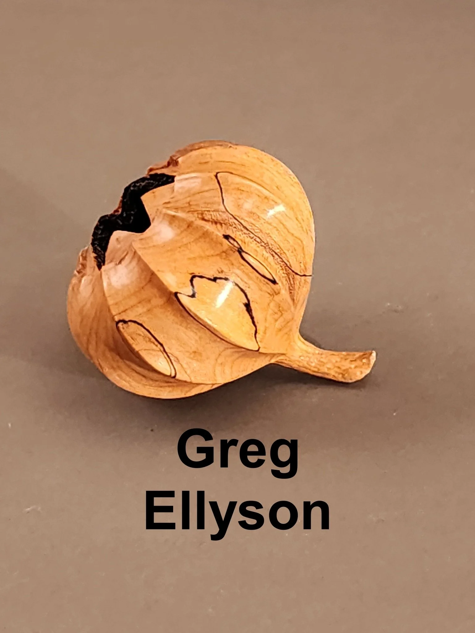Ellyson2.jpg