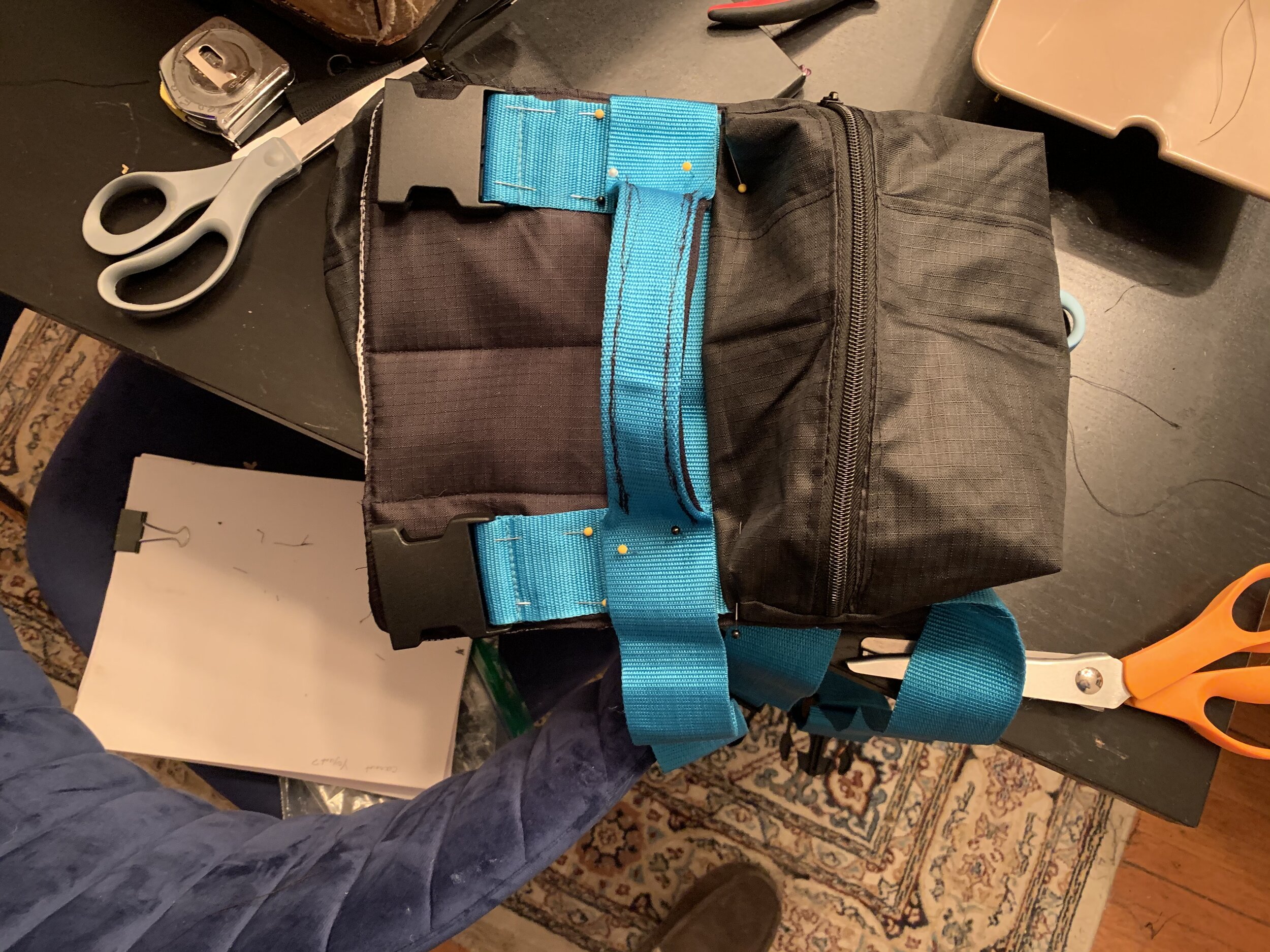 Doggie Backpack
